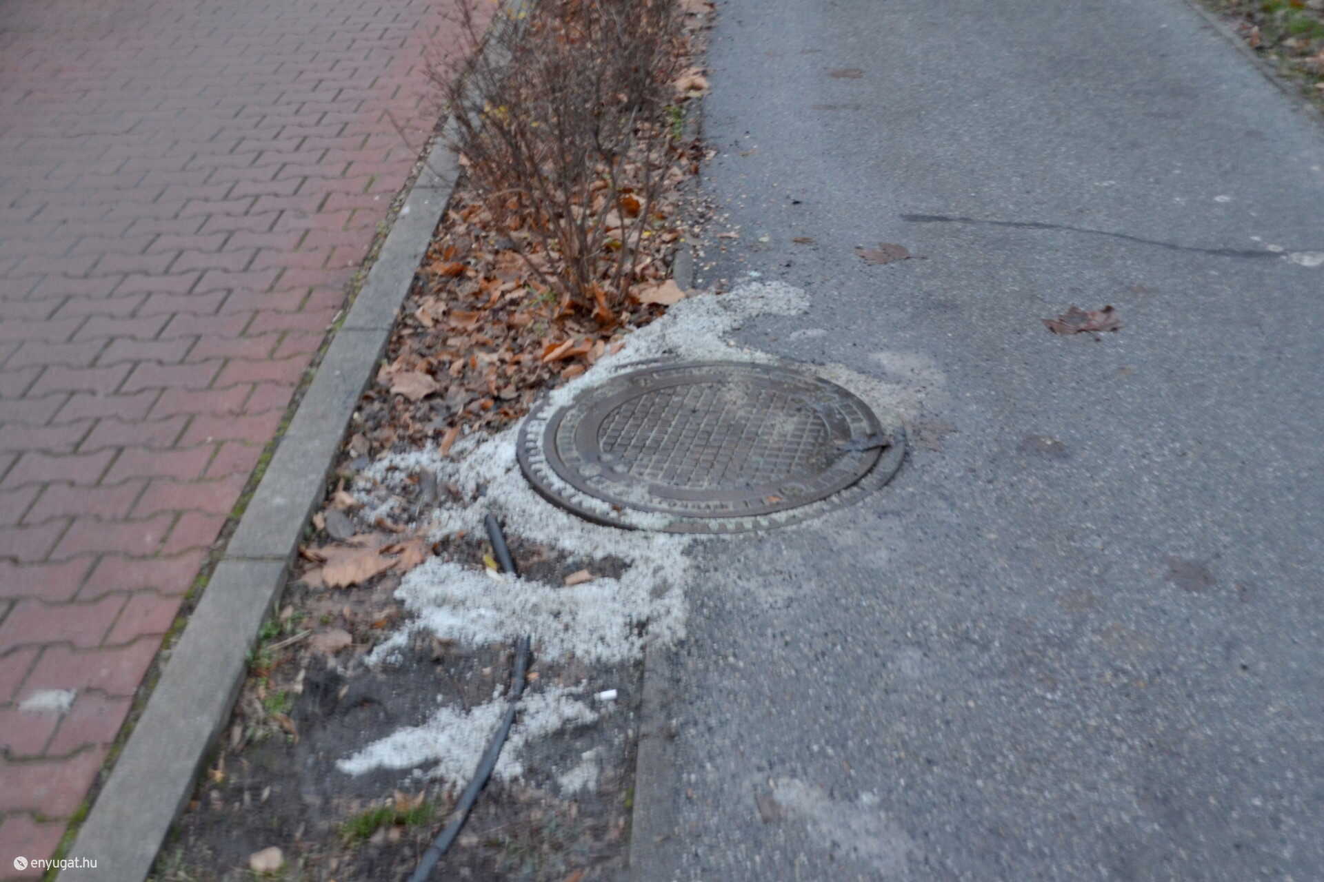 Belemossa abba a sovány földbe a sót az eső. Itt az a növény is el fog pusztulni, ami eddig még bírta.