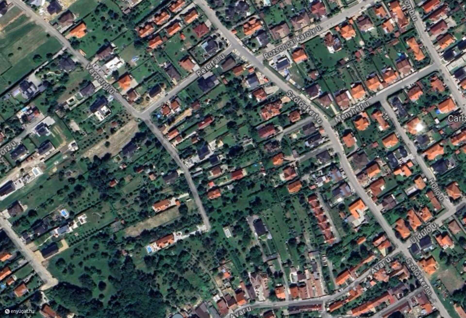 A Szőlőskert utca és környéke a Google Maps felvételén.