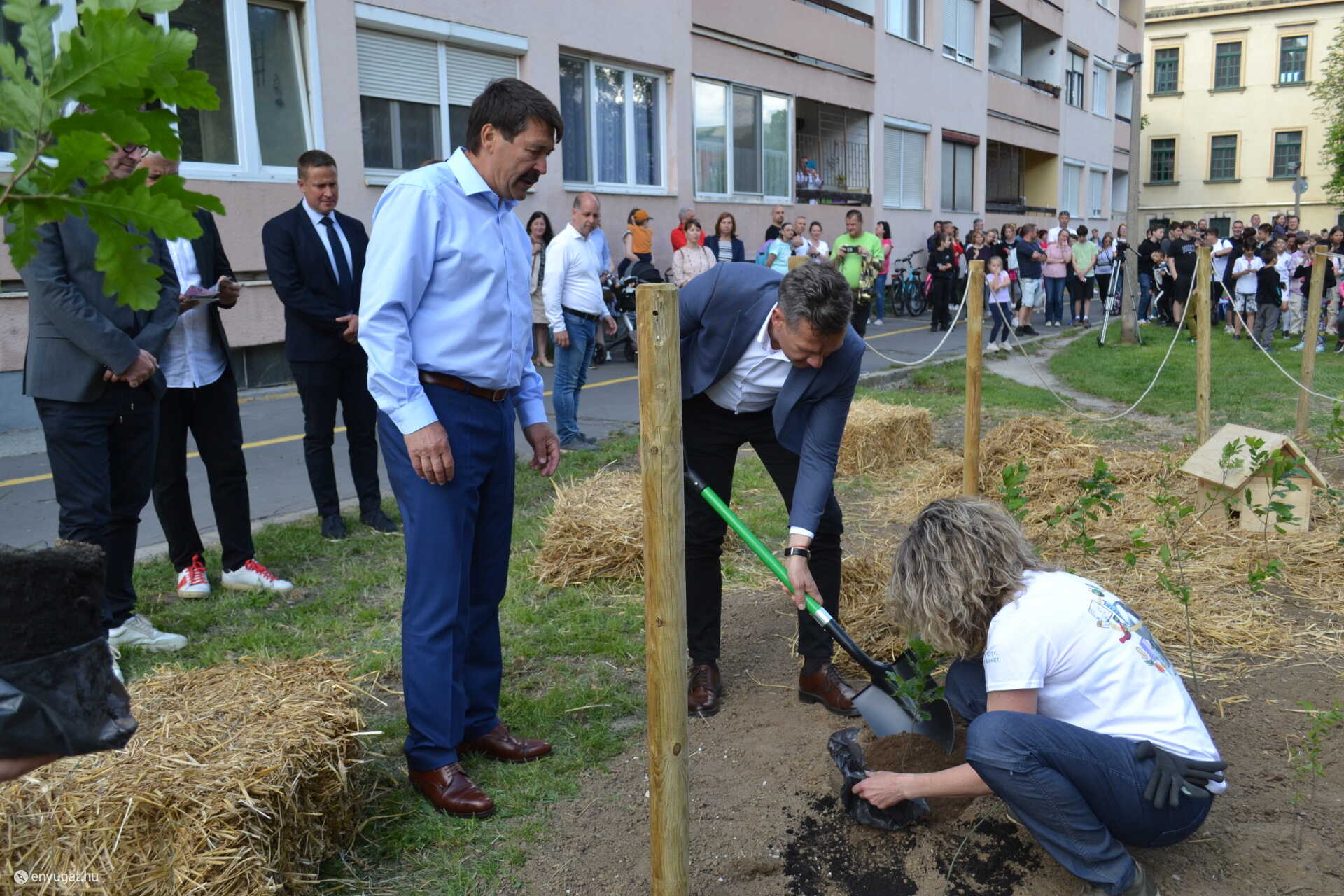 Három csemetét személyesen ültetett el a polgármester.