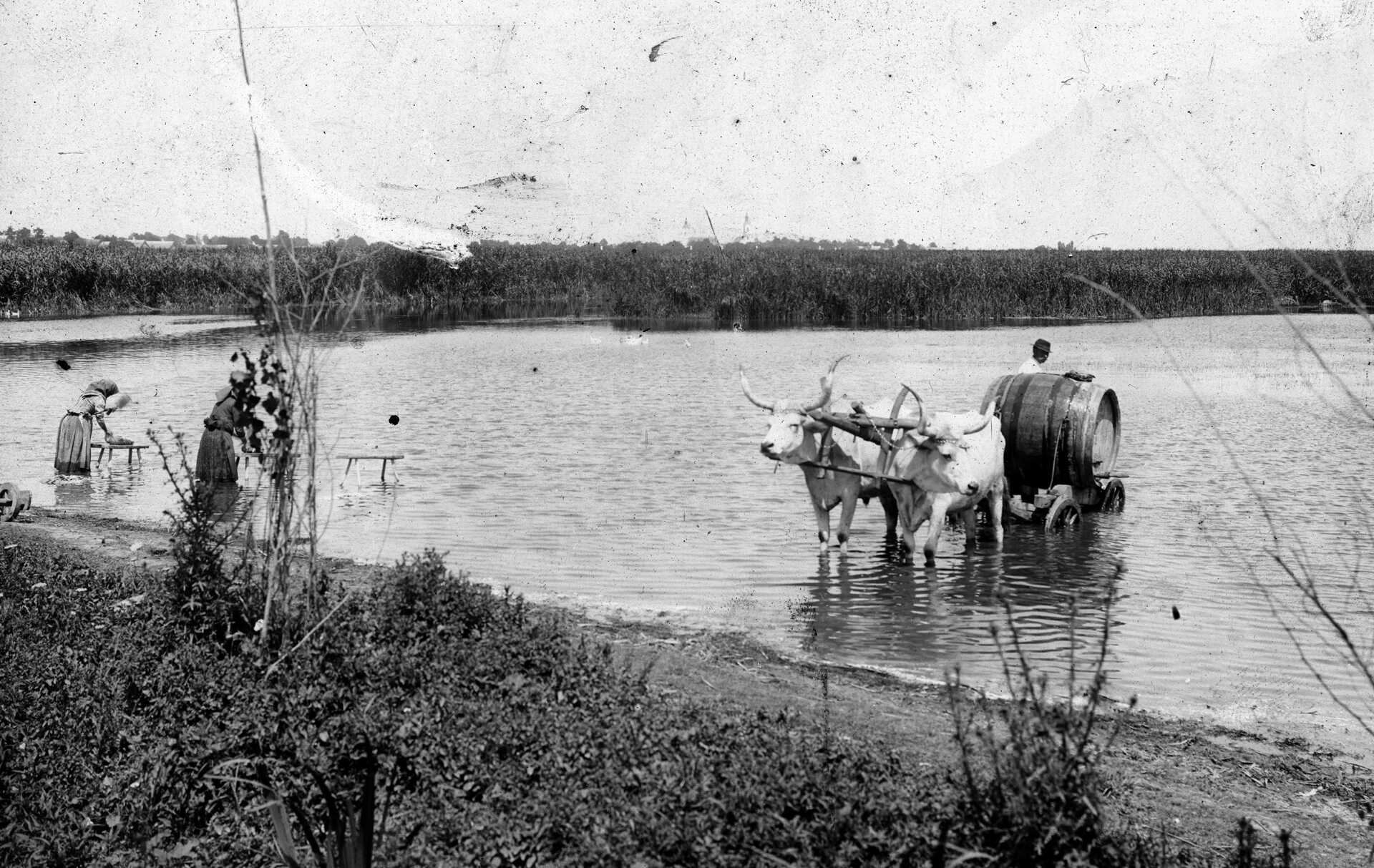Balaton régen
