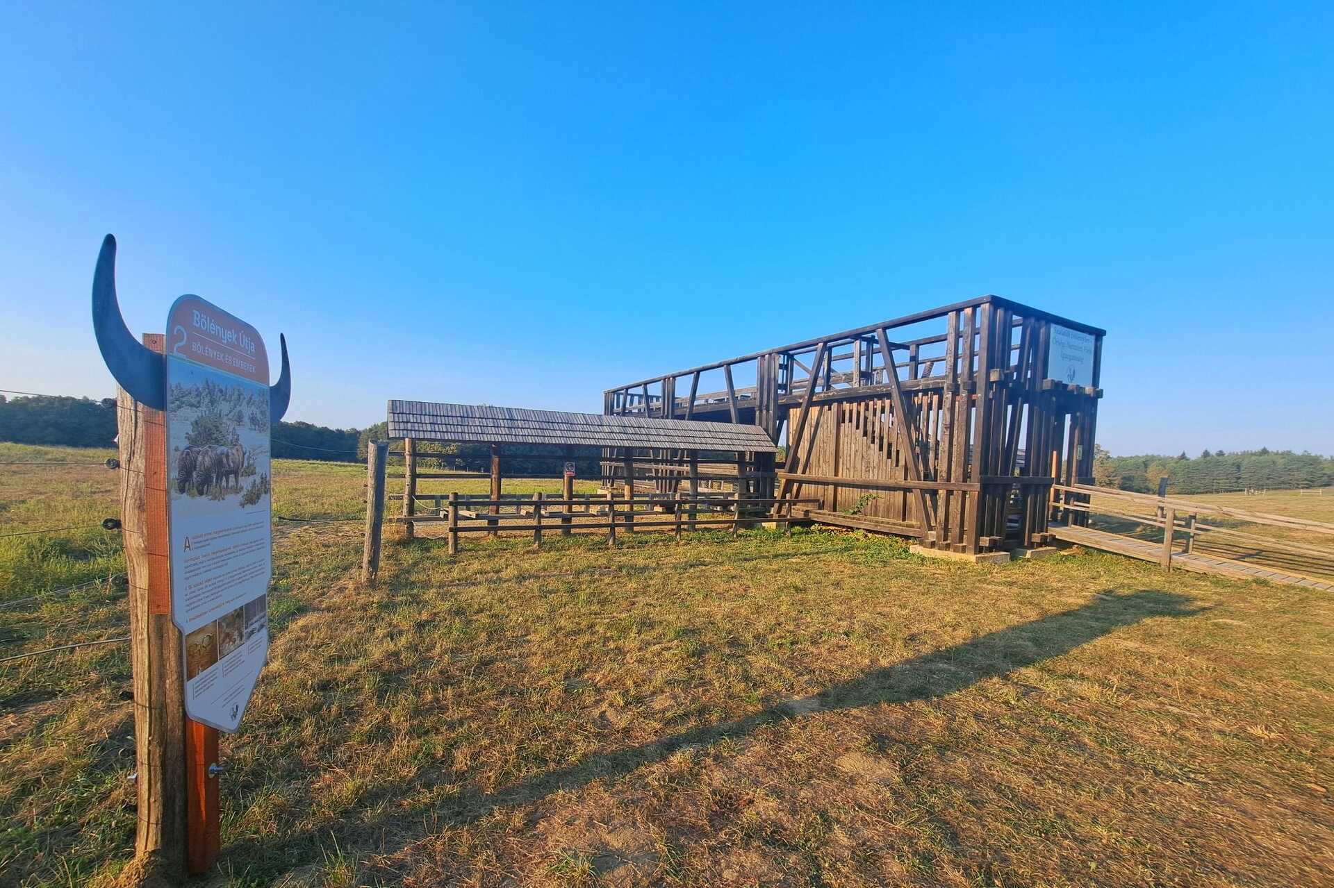 Őrségi Nemzeti Park Igazgatóság, bölények, 