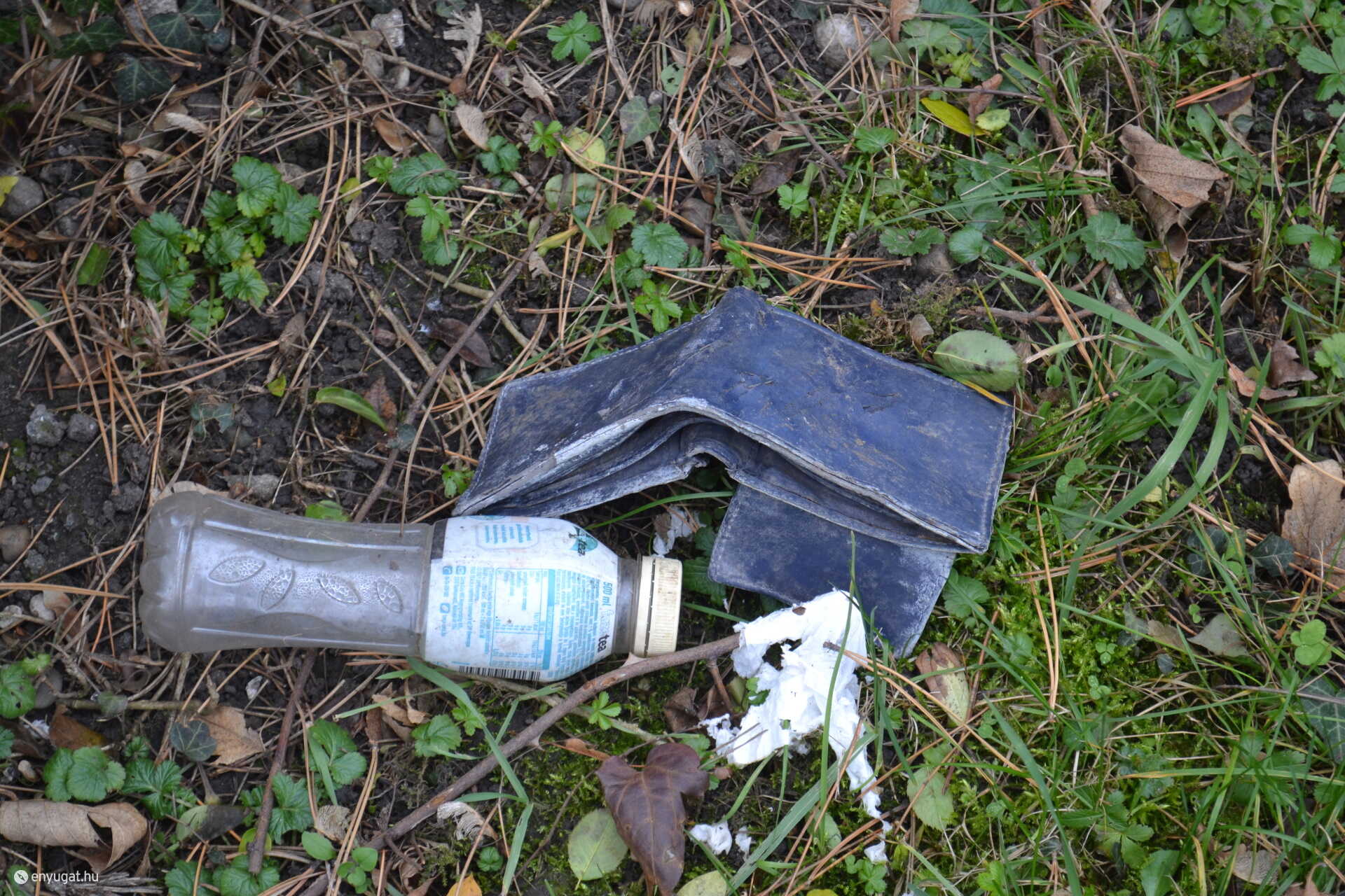 Még pénztárca is hever a fűben. Nem mostanában kerülhetett oda.