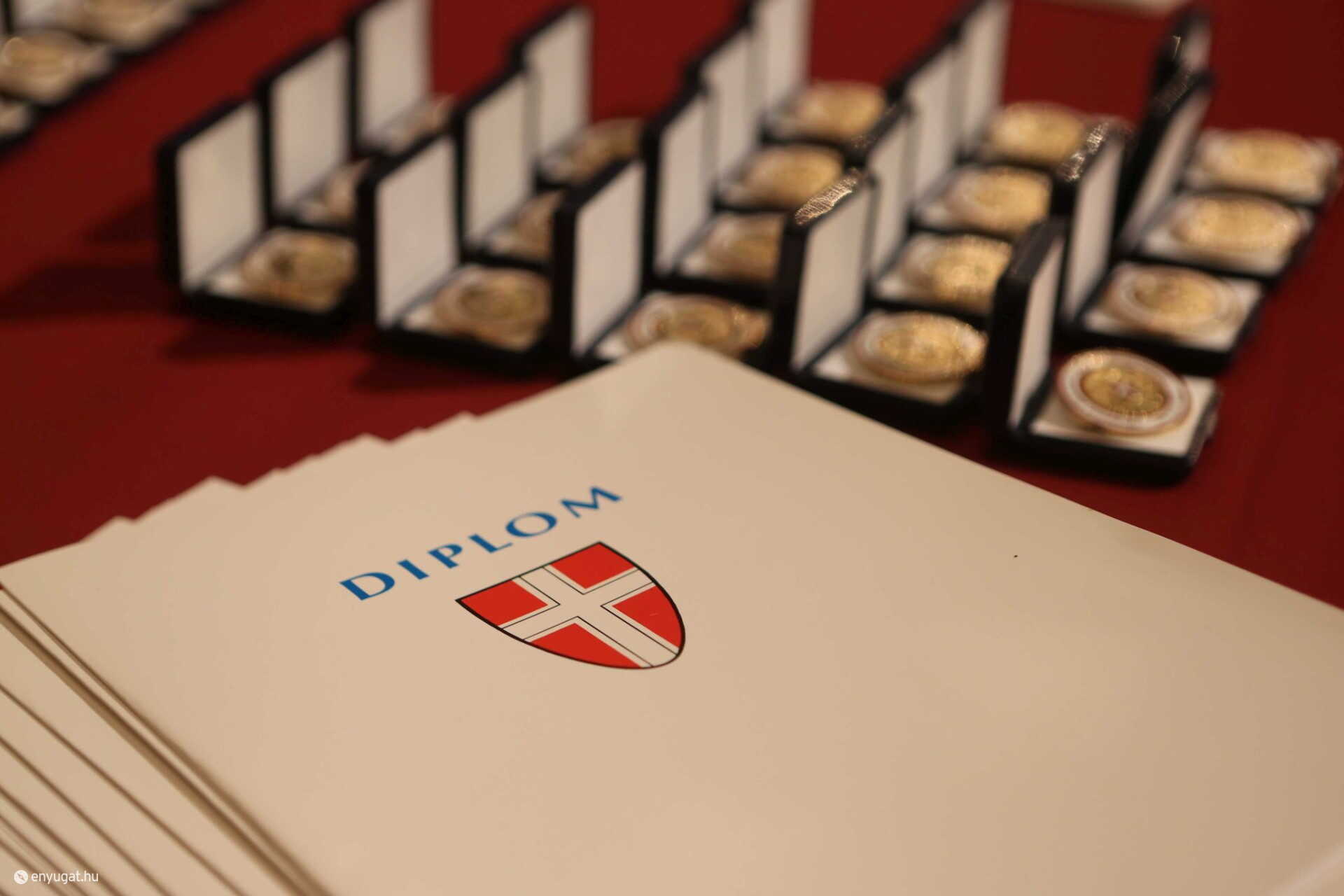 Ilyen oklevelet szerez, aki diplomás betegápoló, gondozó lesz. 