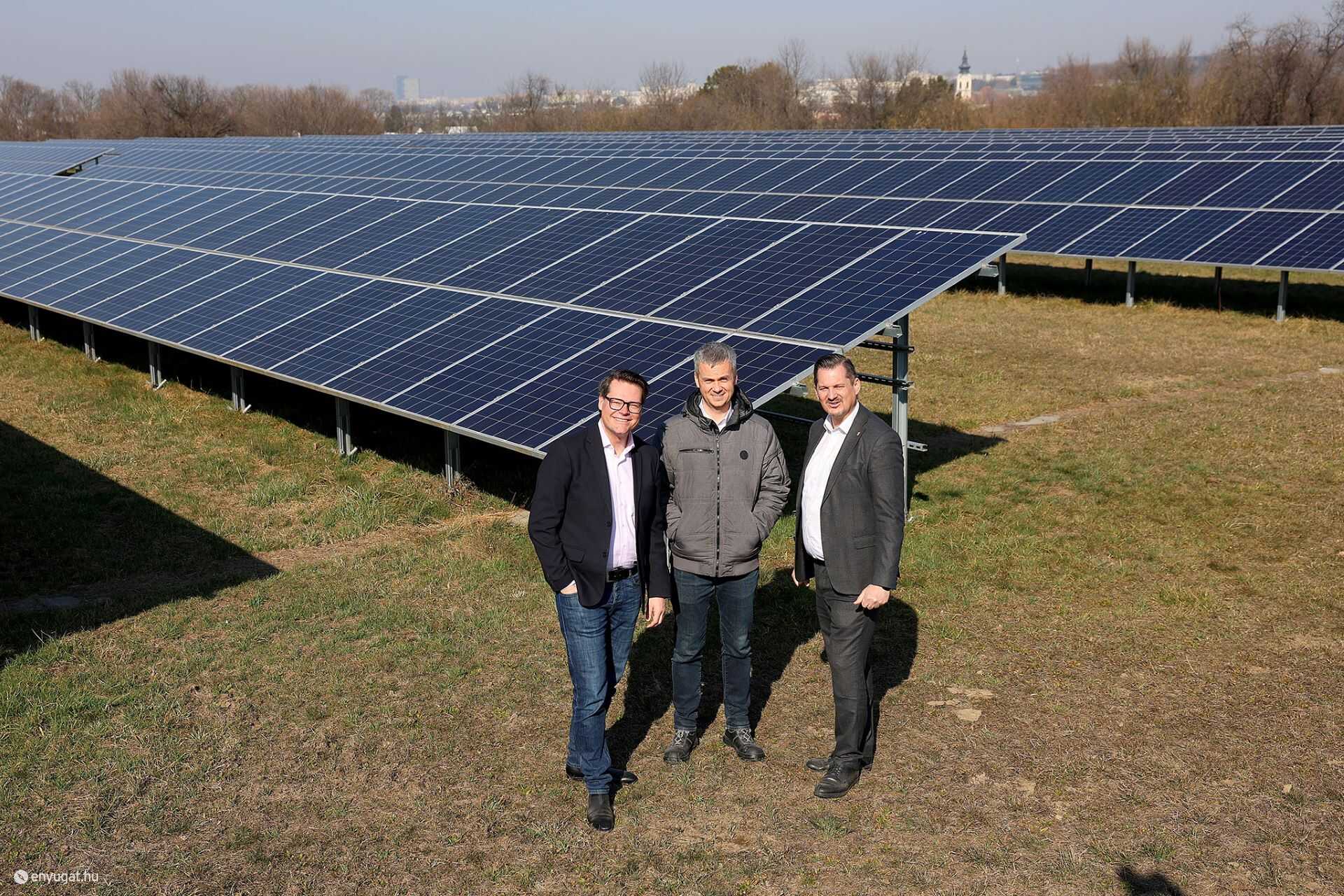 Faültetés és napelempark. Gondolnak a jövőre.