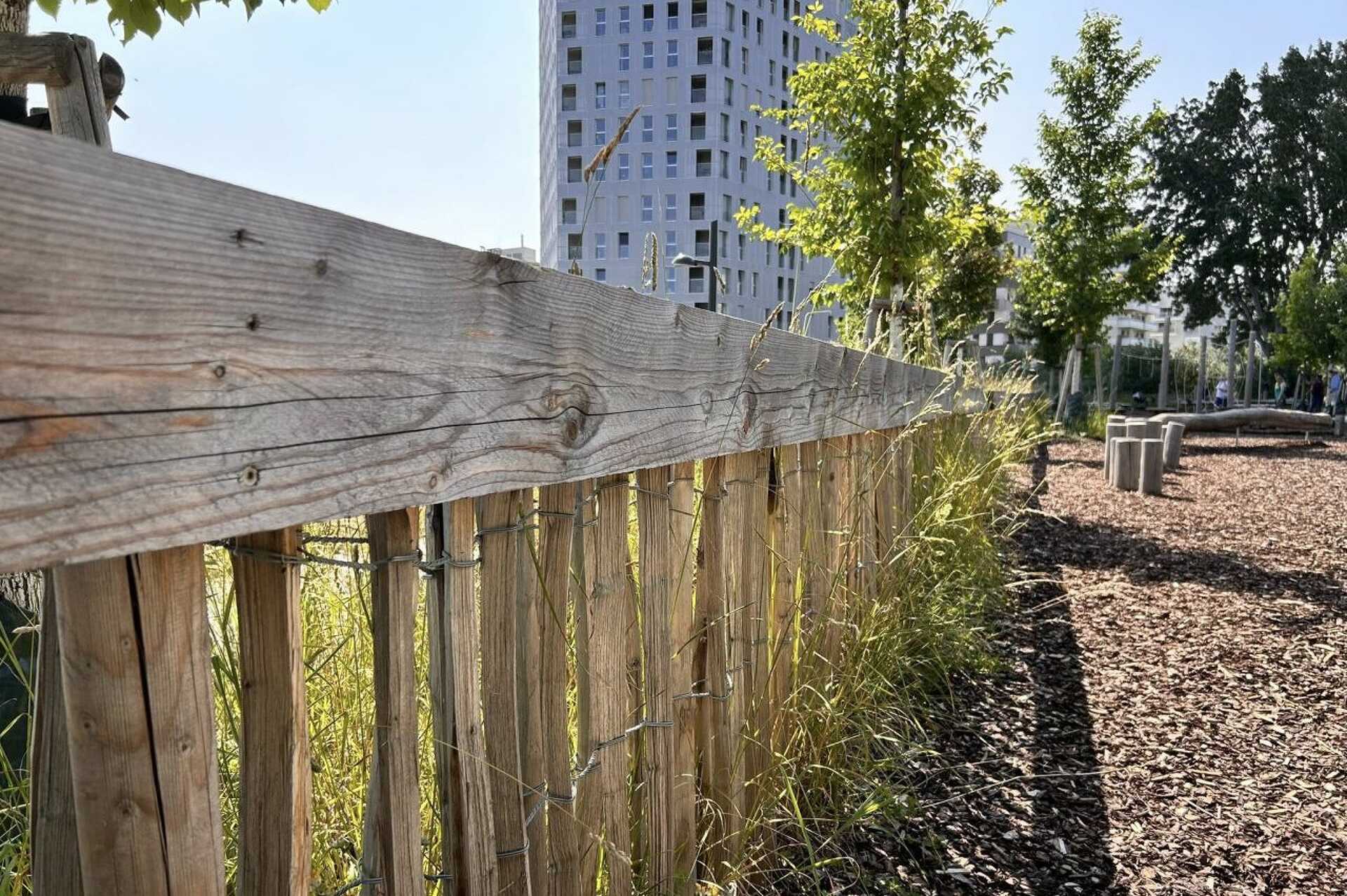 Magasra hagyott fű Bécsben