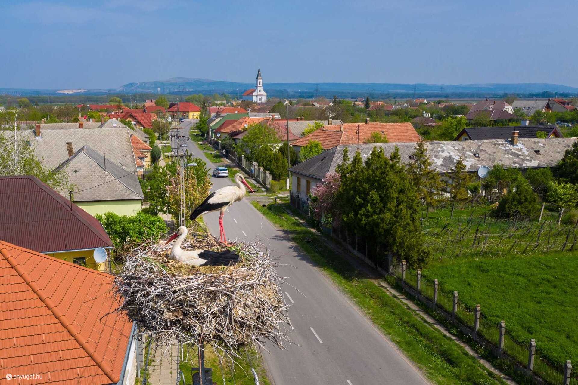 Gólyafészkeket építenek az E.ON munkatársai