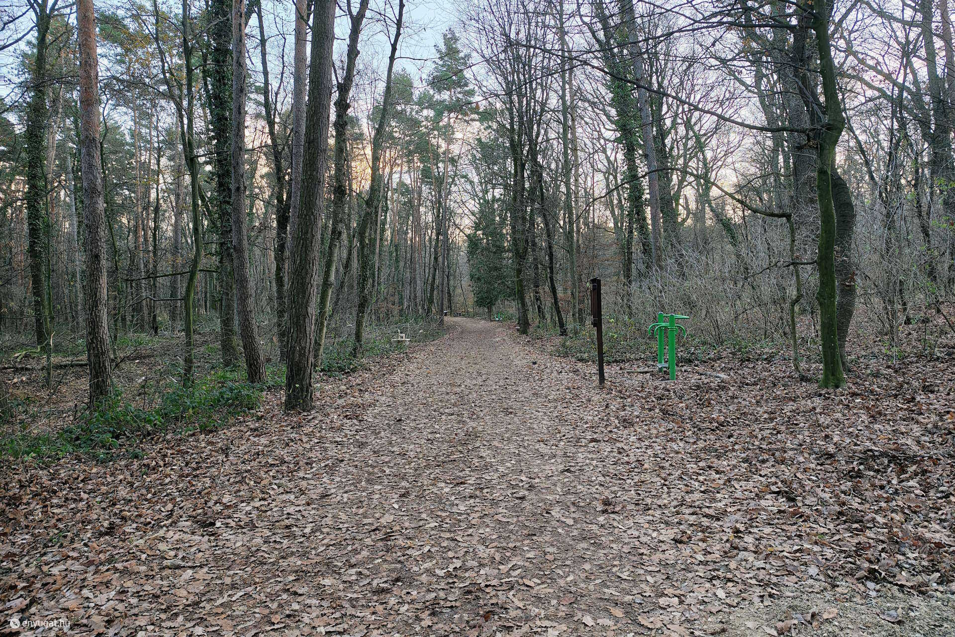 Eltűntek a lámpák az Ojtozi fasorról