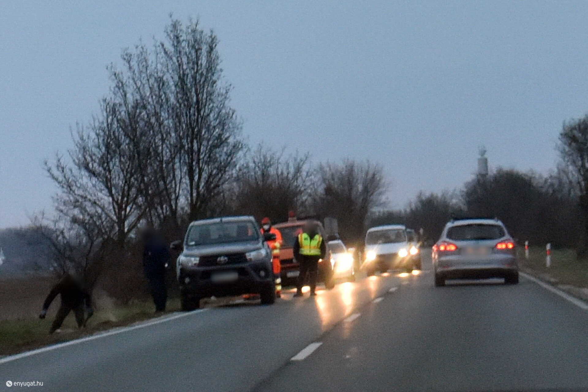 Két szarvast gázolt egy kamion Tompaládony közelében, a 84-es főúton