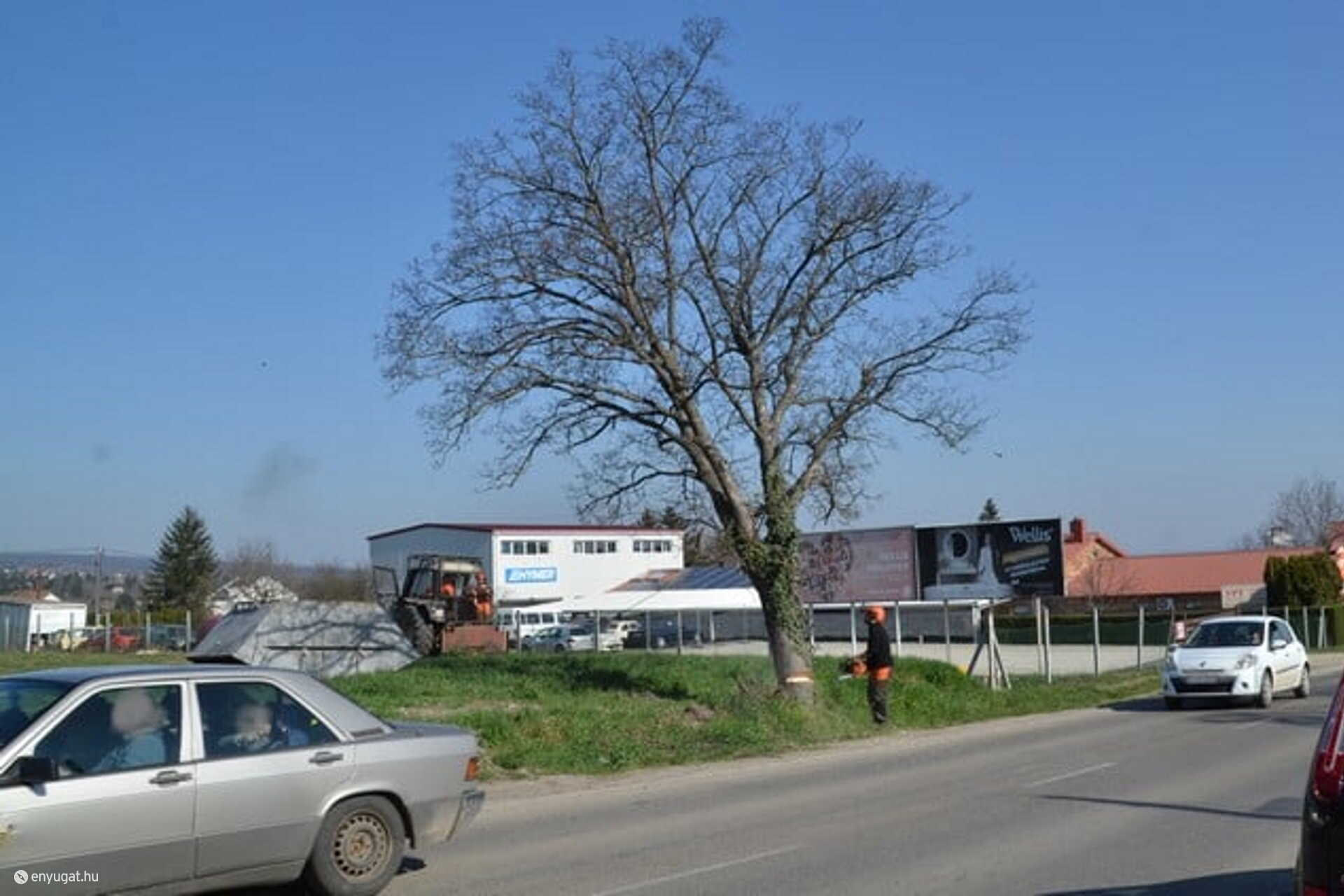 Nem volt túlságosan szem előtt és voltak nála szebbek is, de akkor is volt és élt...