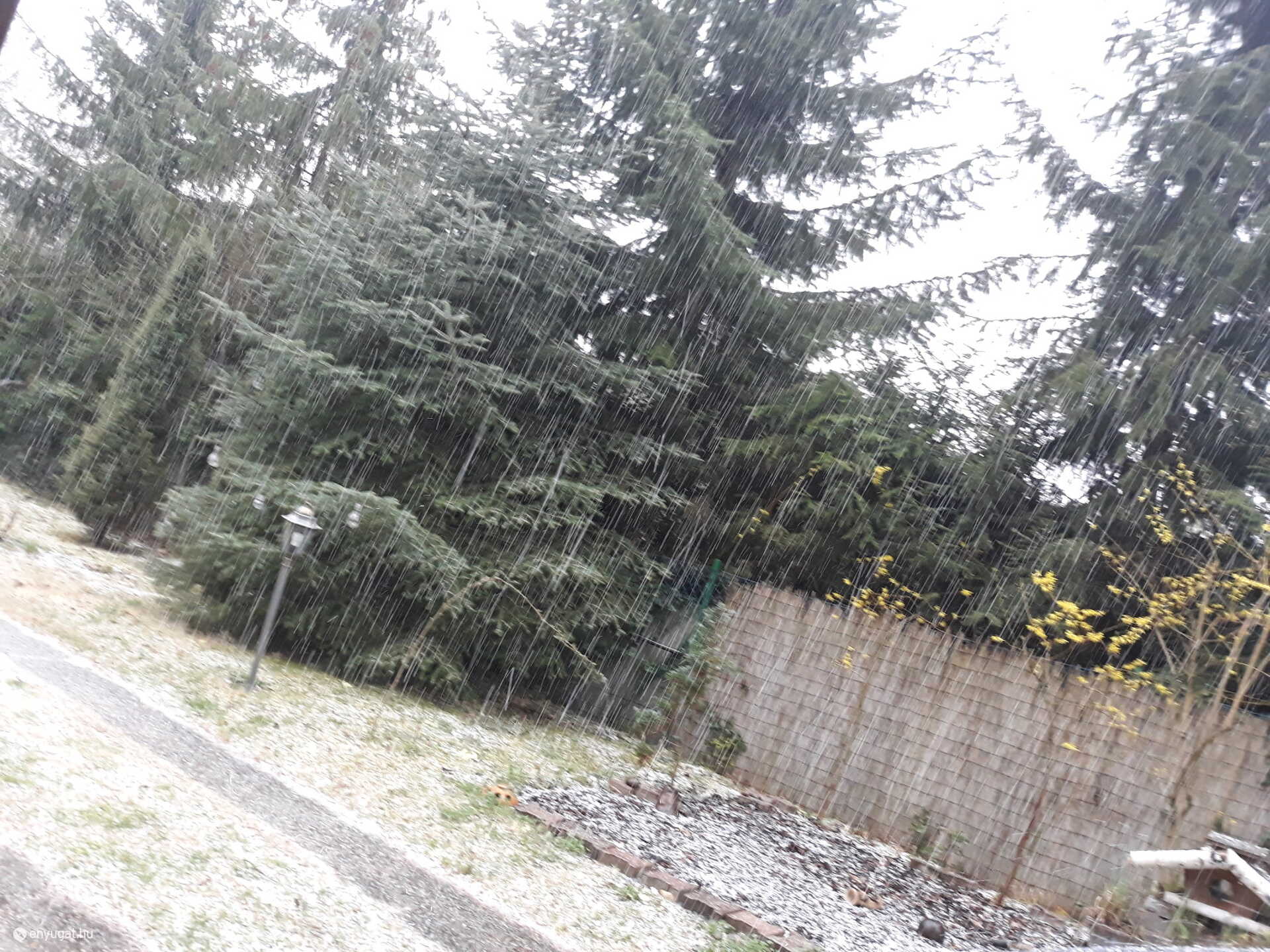 Jégeső vagy jégkása? Mindenesetre elég sűrűn esett a Lőverekben.