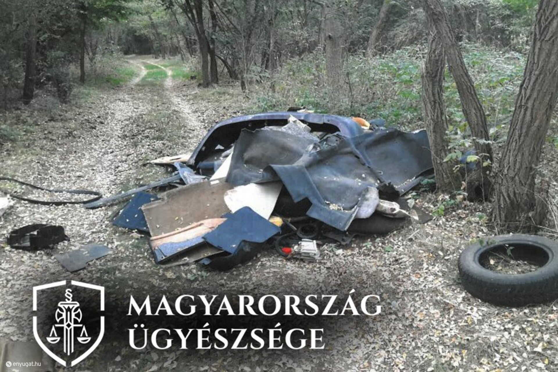 Az erdőbe hordta ki a szemetet. Most bíróság elé áll.