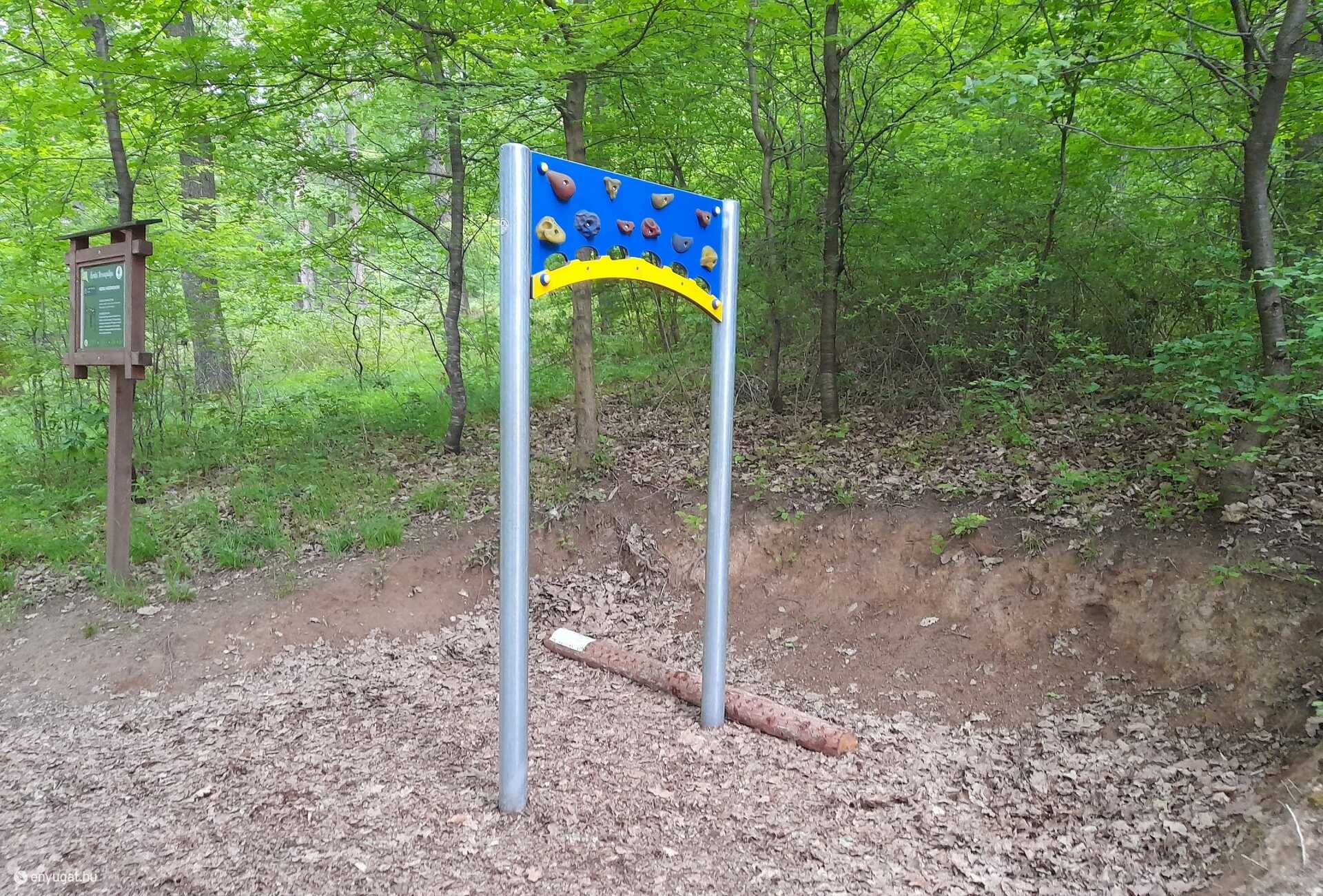 Az erdei tornapálya egyik állomásán fontos az a rönk.