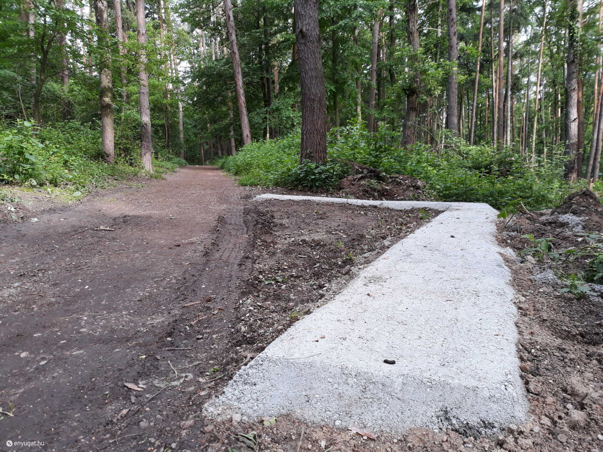 Beton az erdőben. Nem tűnik tartós, minőségi munkának.