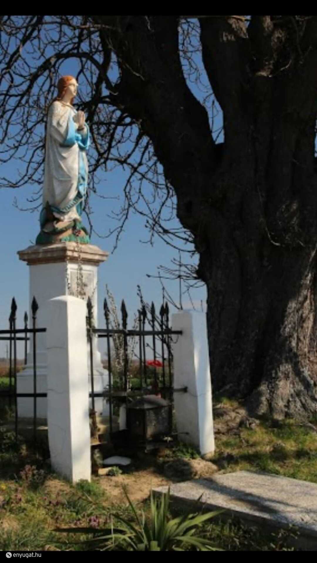 A szobor a vadgesztenyefával a felújítása előtt...