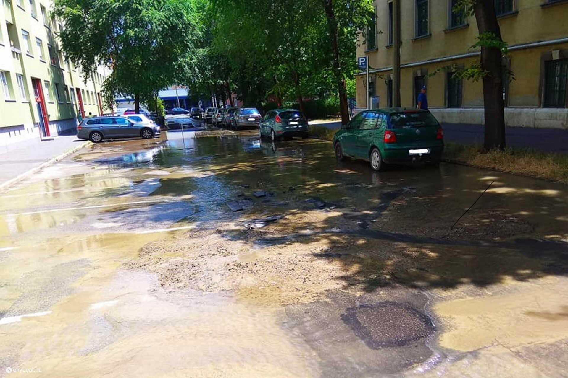 Utat tört magának a víz.