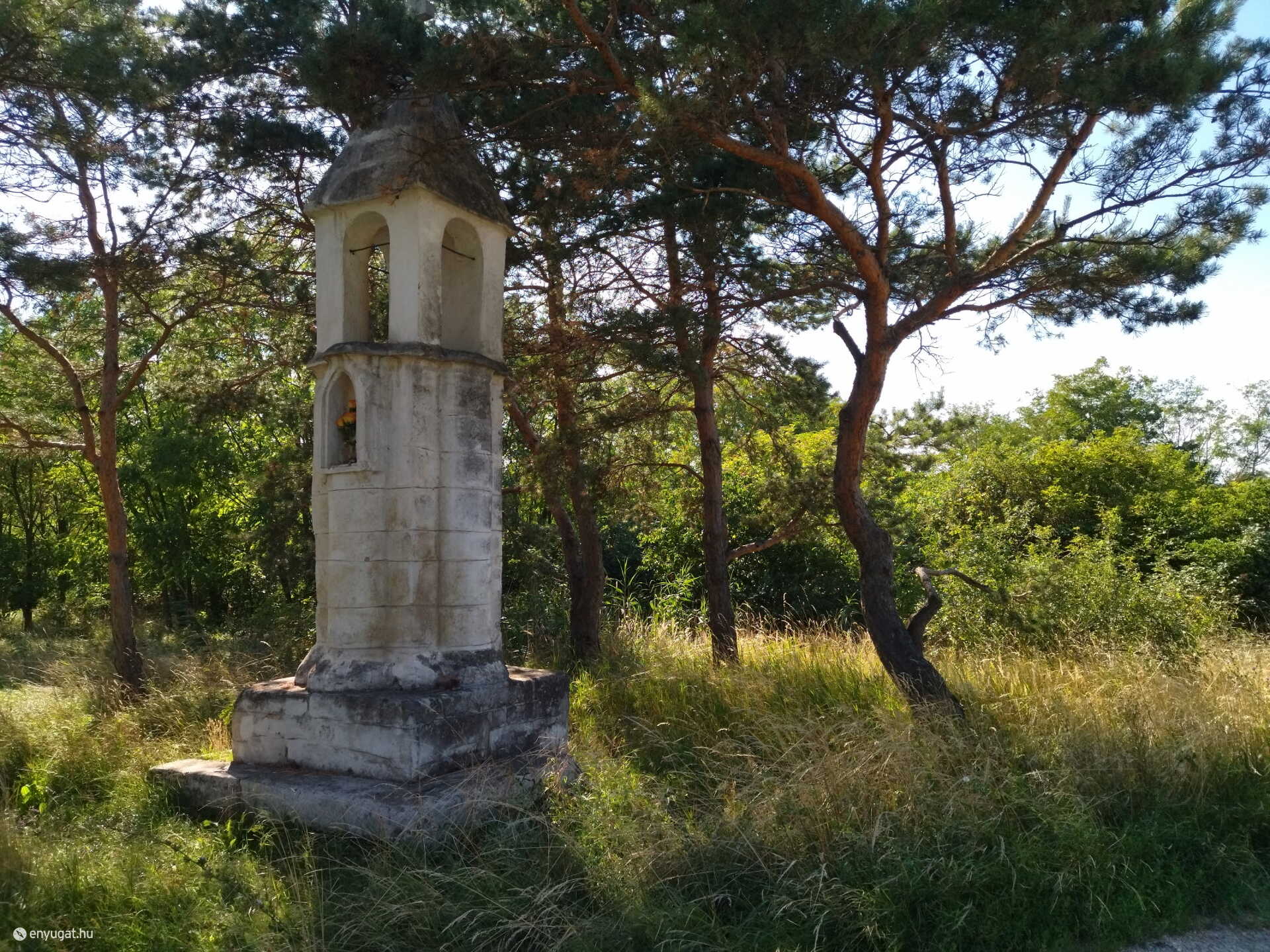 Néhány éve még pazar kilátás nyílt innen a városra.