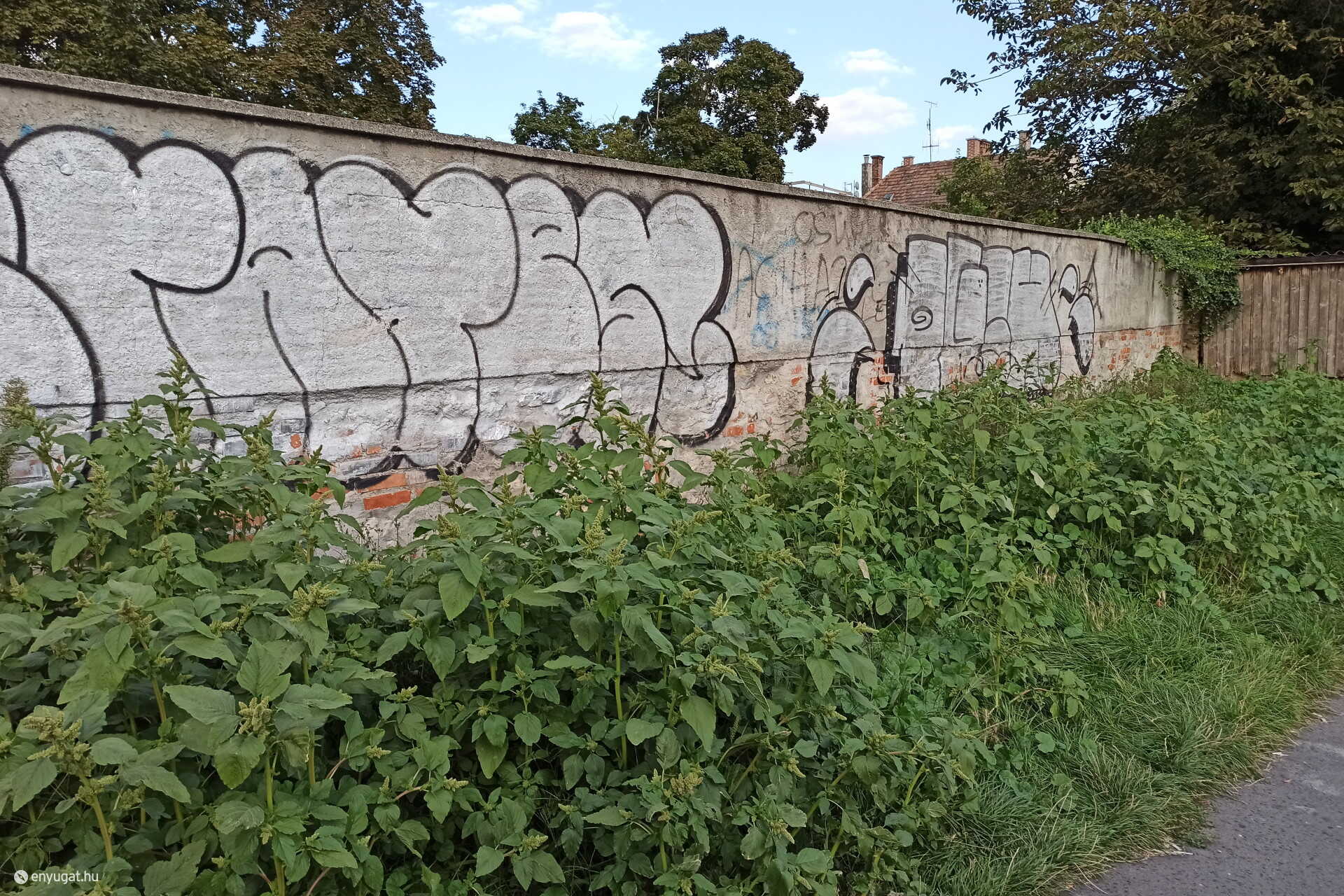 Átjáró a piactól az Újteleki utcára
