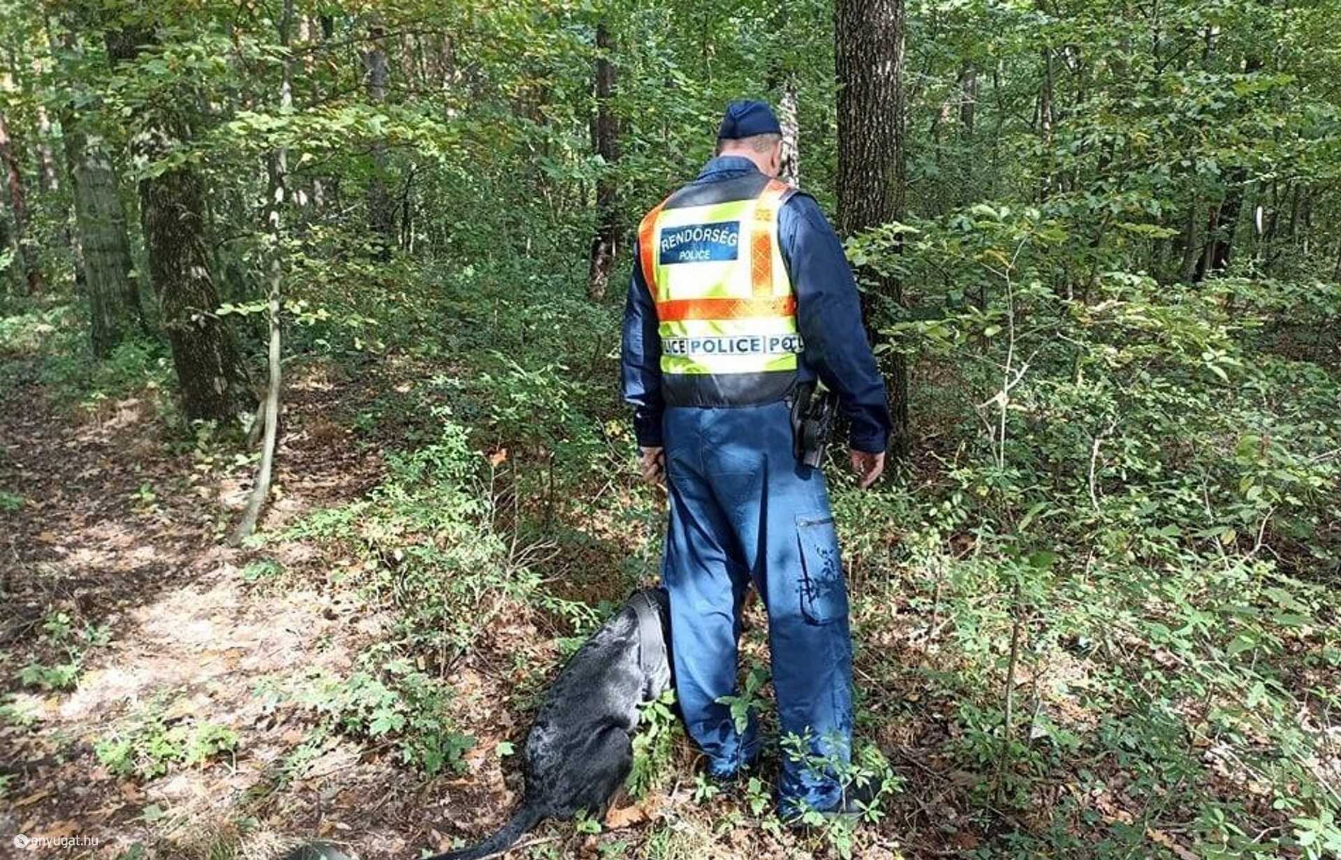 A fotón süt a nap, nyilvánvalóan illusztráció, hiszen az eltévedt párt sötétben kellett megkeresni.