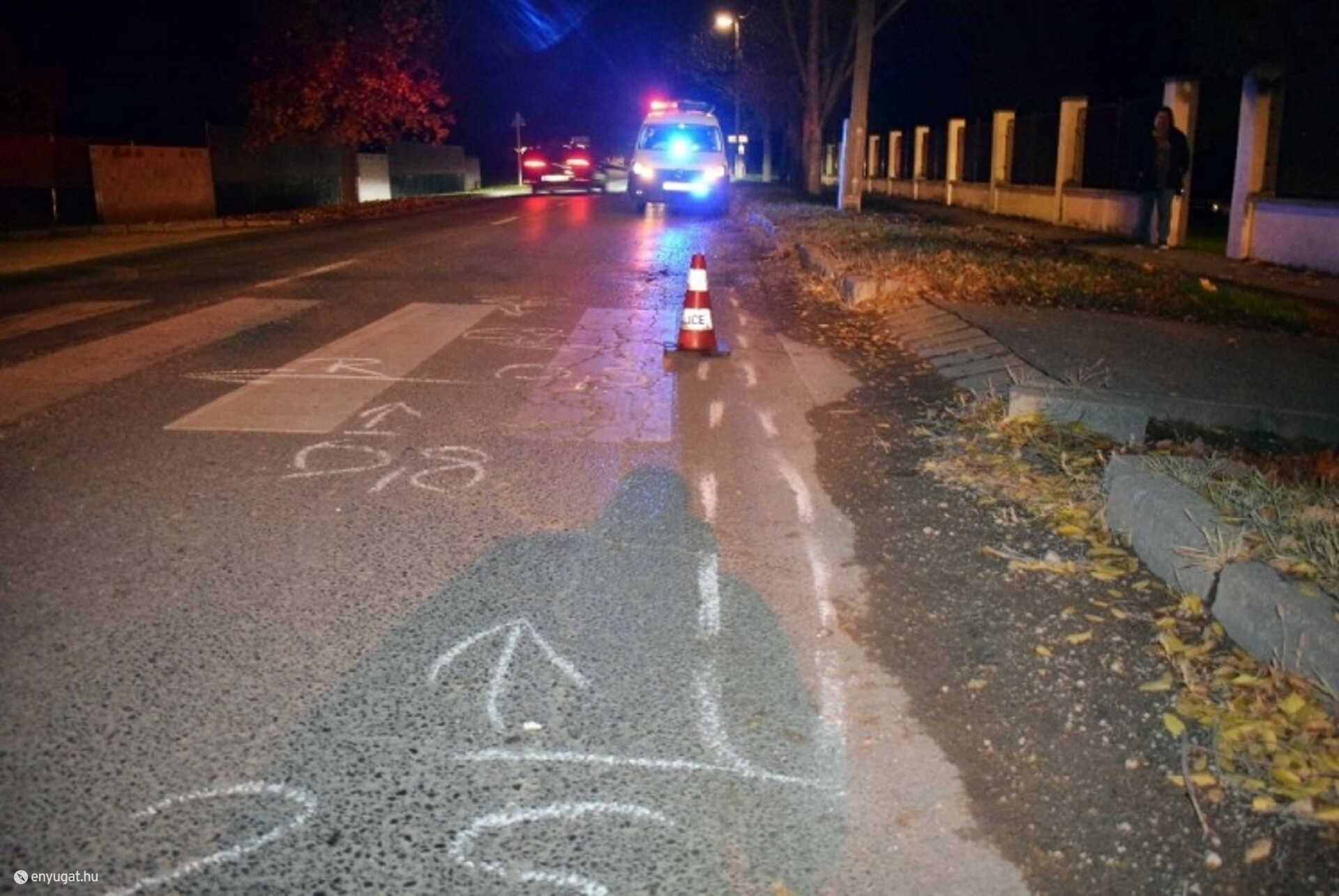 A zebrán elgázolt gyalogost a mentők látták el, majd kórházba vitték.
