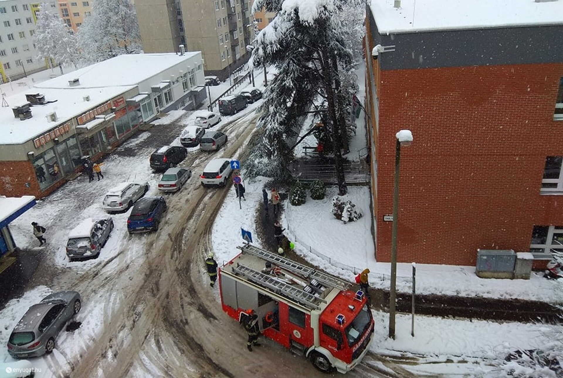Tűzoltóknak kellett a hó súlya alatt letört ágat biztonságosan eltávolítani.