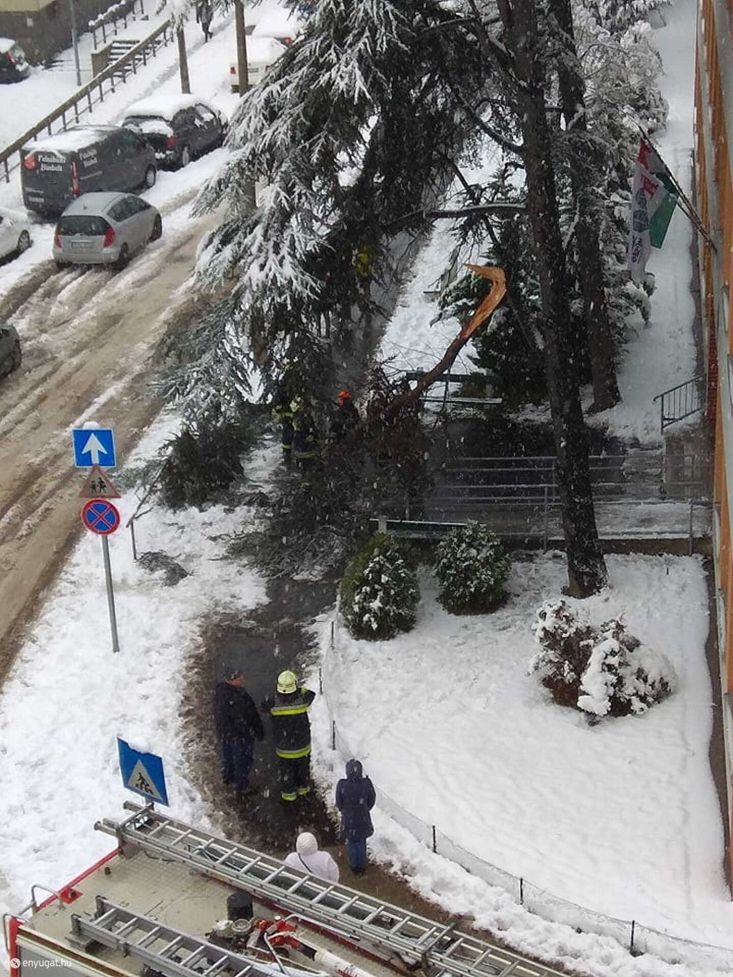 Éppen az egyik  bejárat fölött tört le a nagy ág.