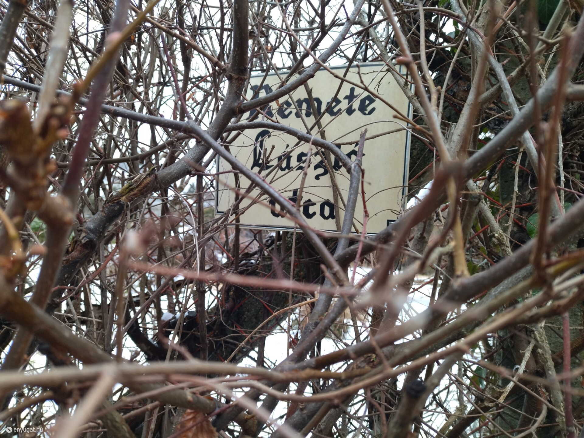 Ne hagyjuk, hogy Remete László alakját benőjje a felejtés.