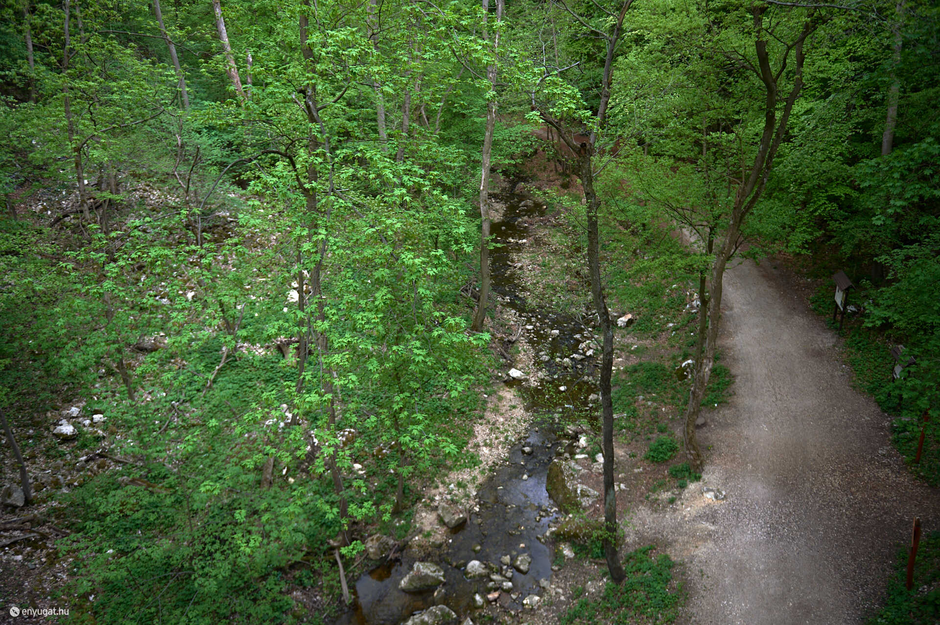 Cuha völgye
