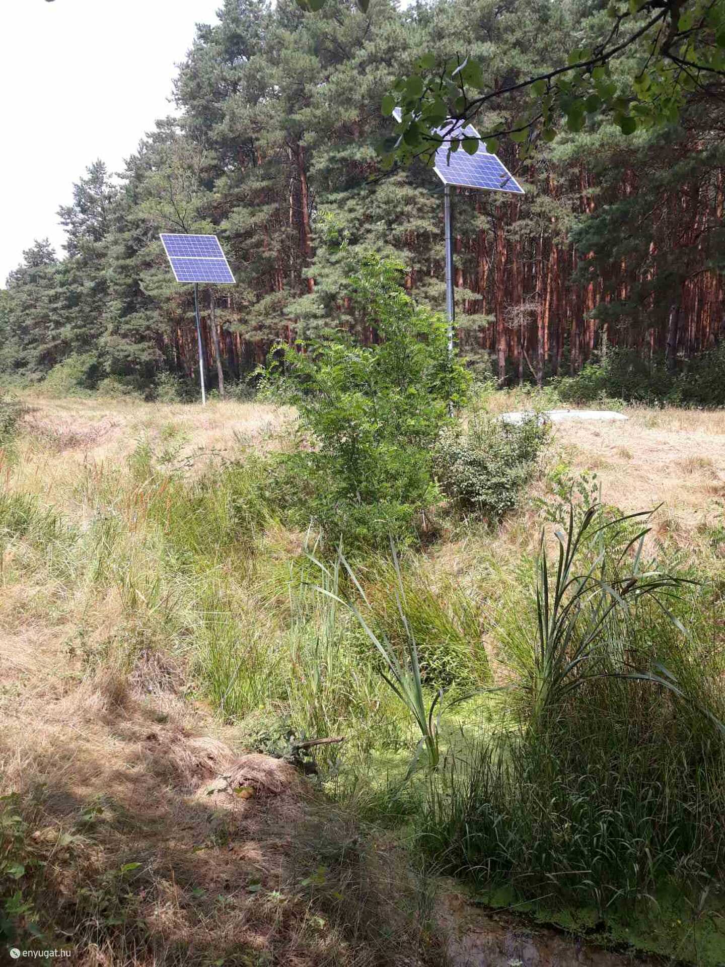 Napelemek adják az energiát a búvárszivattyúnak, így mindig van víz a mesterséges vaditatónál.