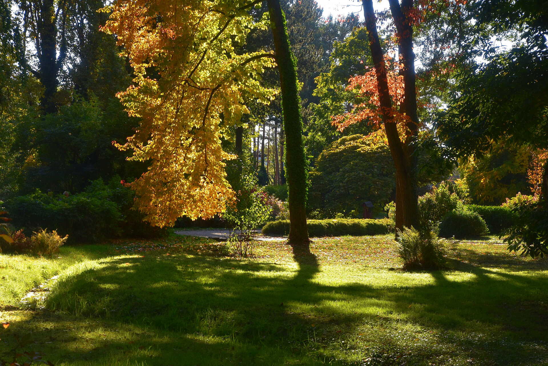 Ősz a kámoni Arborétumban, olvasói fotók