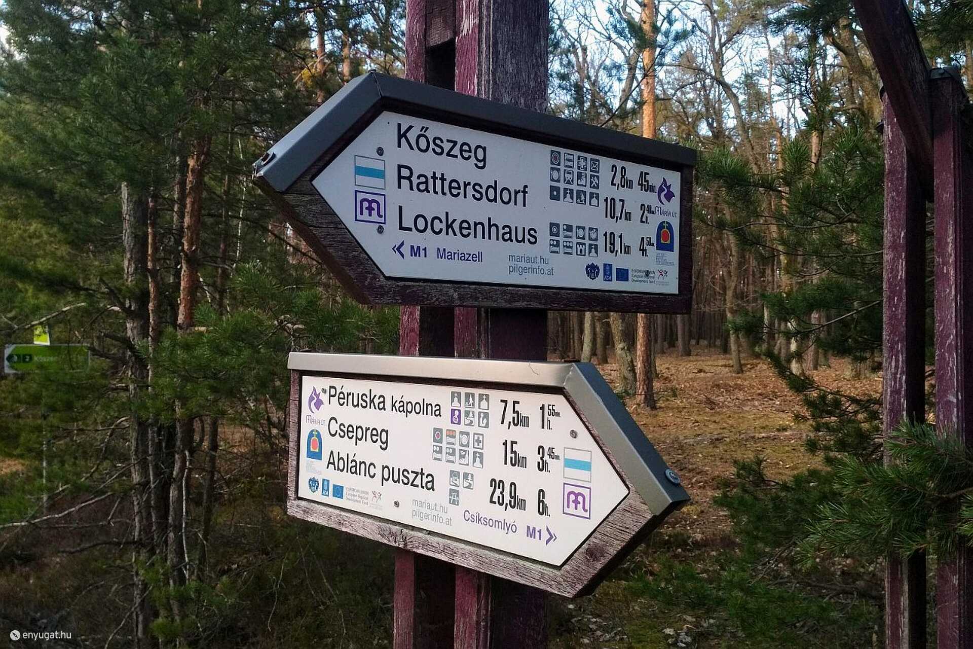 Erdő, Kőszeg, Csepreg, Kőszegfalva, túra