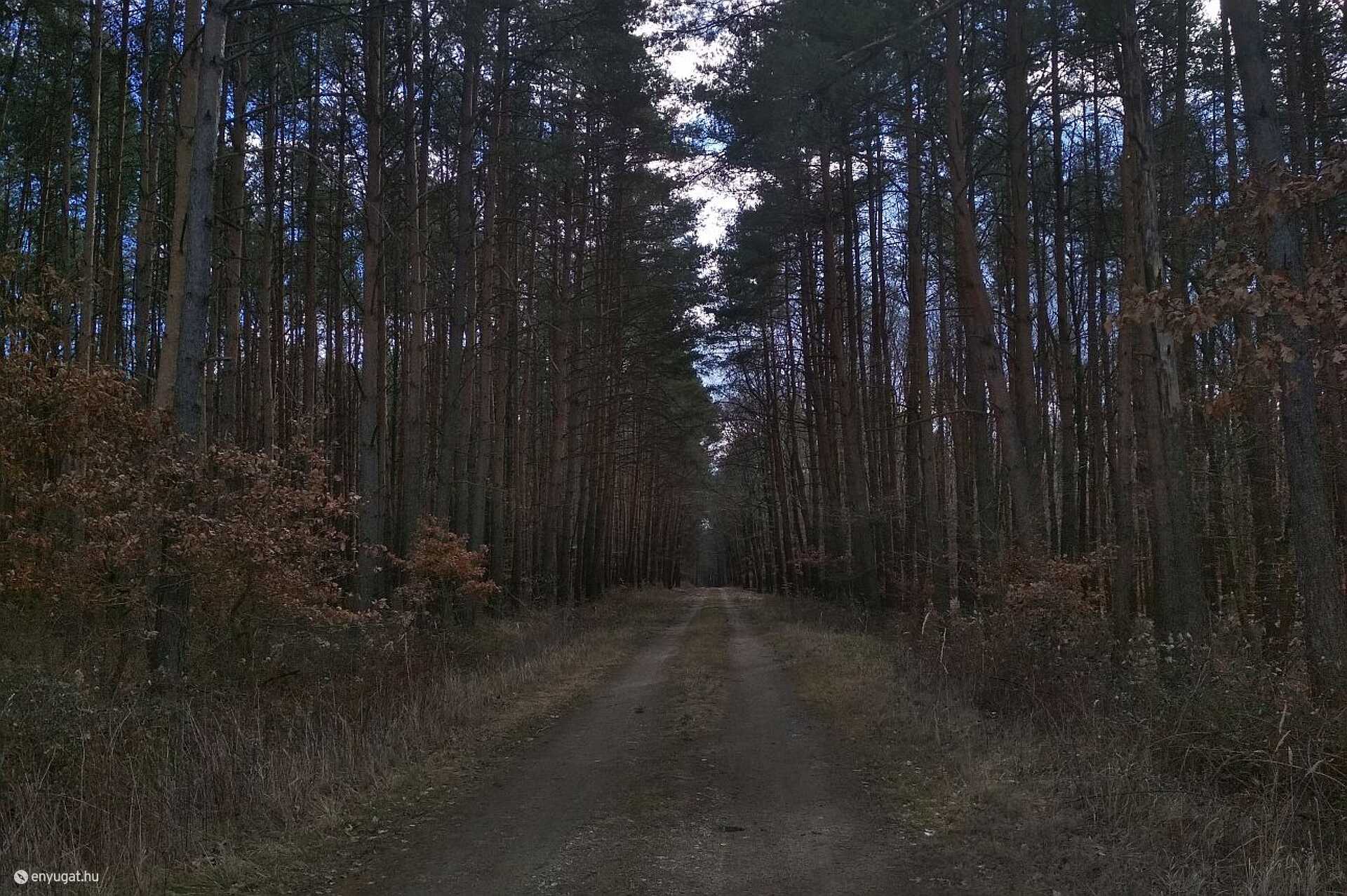 Erdő, Kőszeg, Csepreg, Kőszegfalva, túra