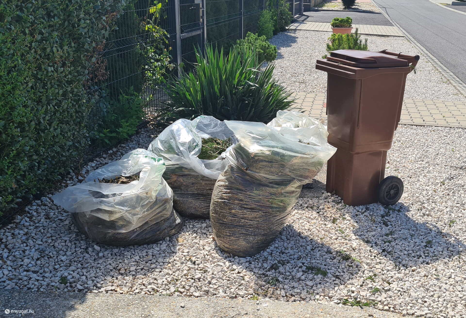 Látványnak sem szép, de sajnos szaga is van.
