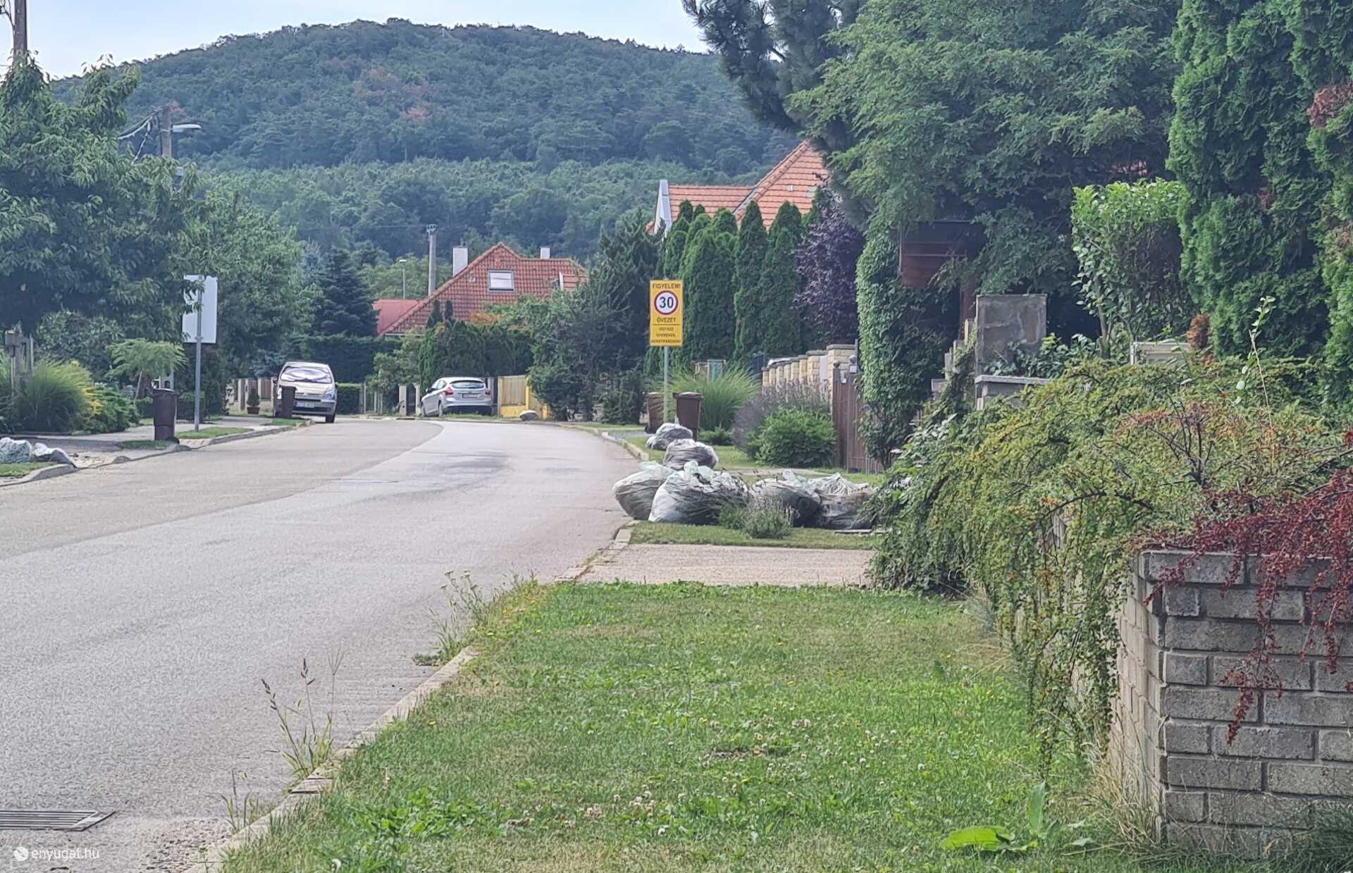A kertvárosban sokan gyűjtik az STKH zsákjaiba a zöldhulladékot.