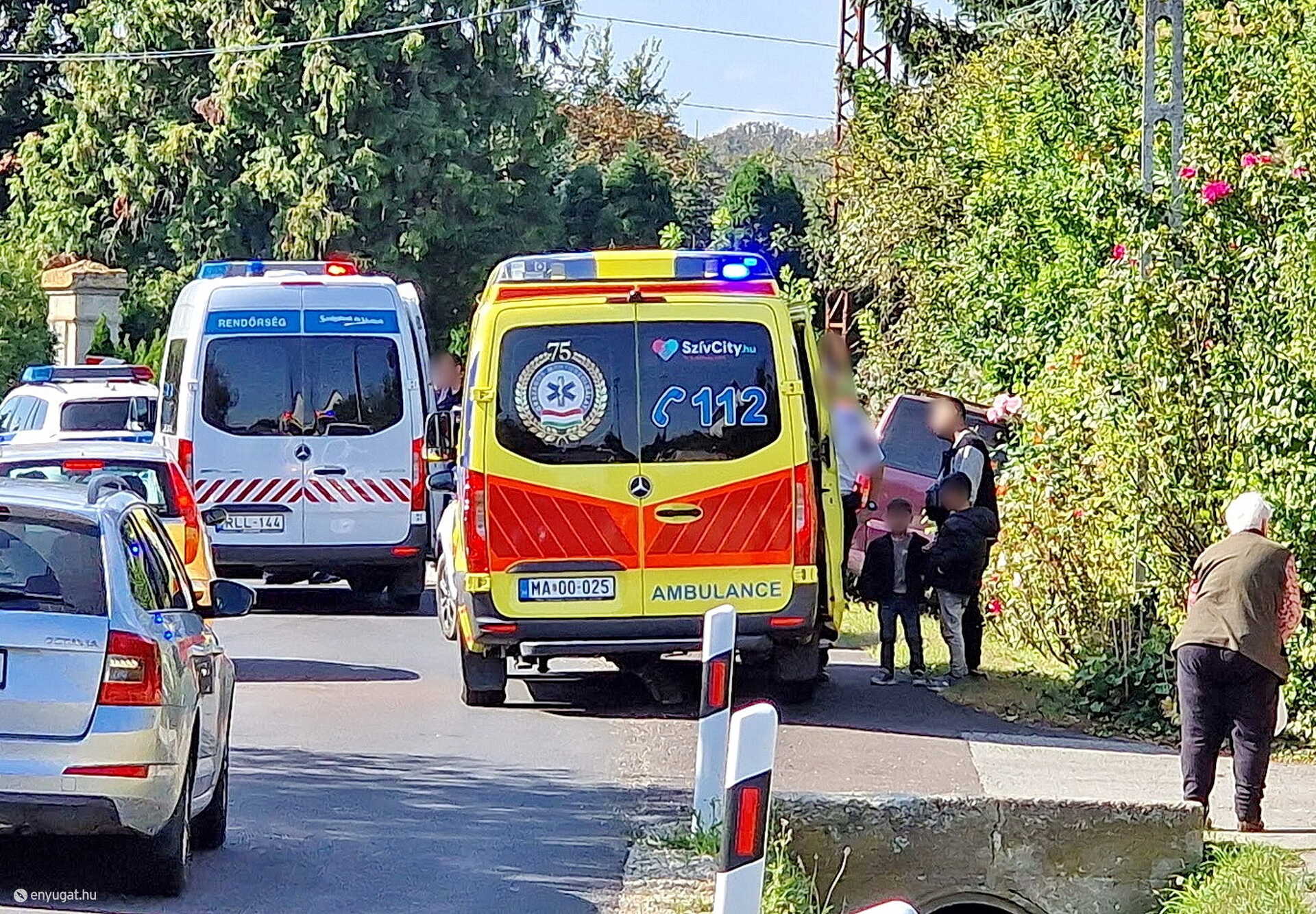 Elfogták a rendőrök elől elmenekülő embercsempészt - kisbuszt vezetett kerítésnek Náraiban