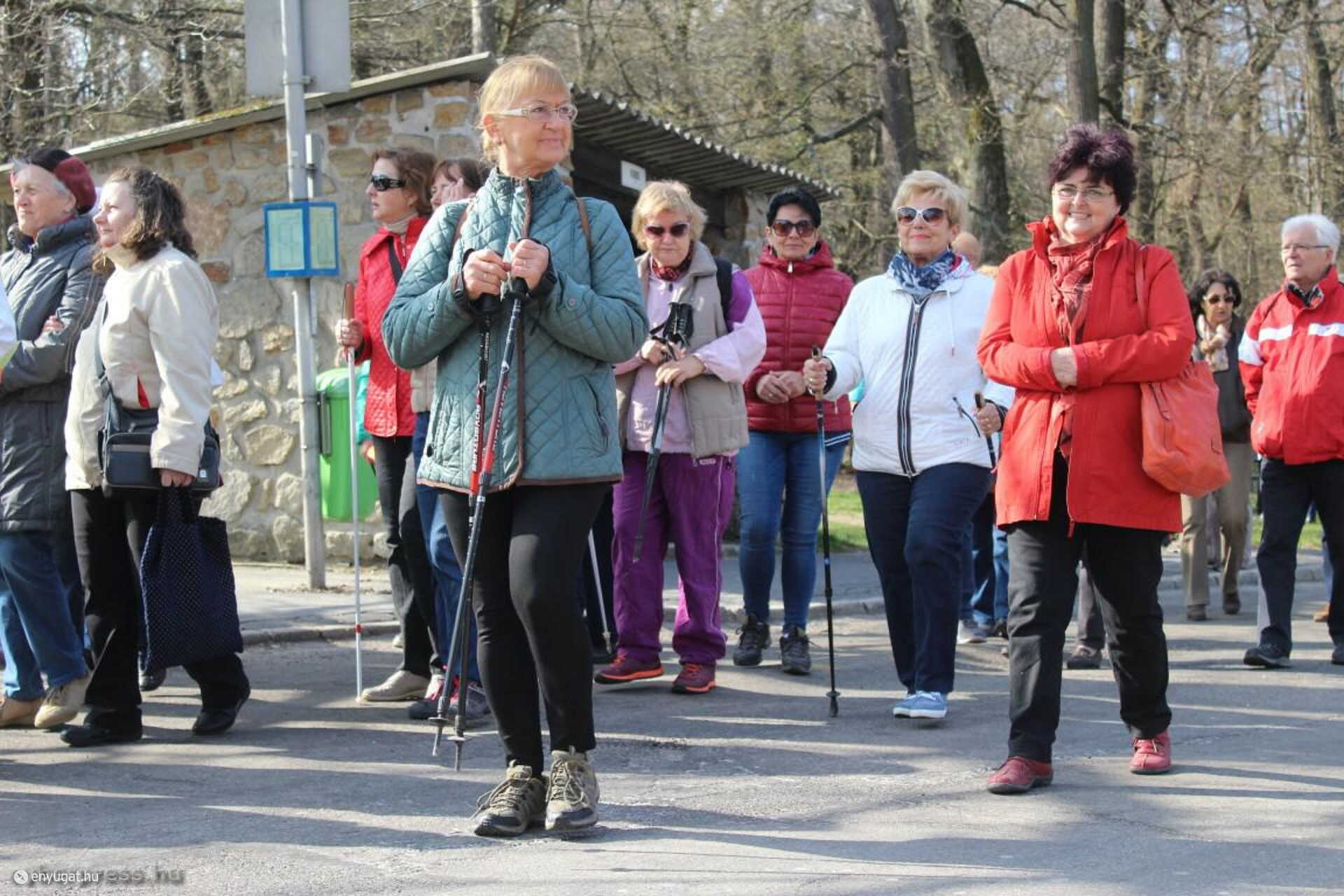 A volt tisztifőorvos (zöld kabátban) jó példával jár elöl, a közösségi gyaloglást népszerűsíti. 