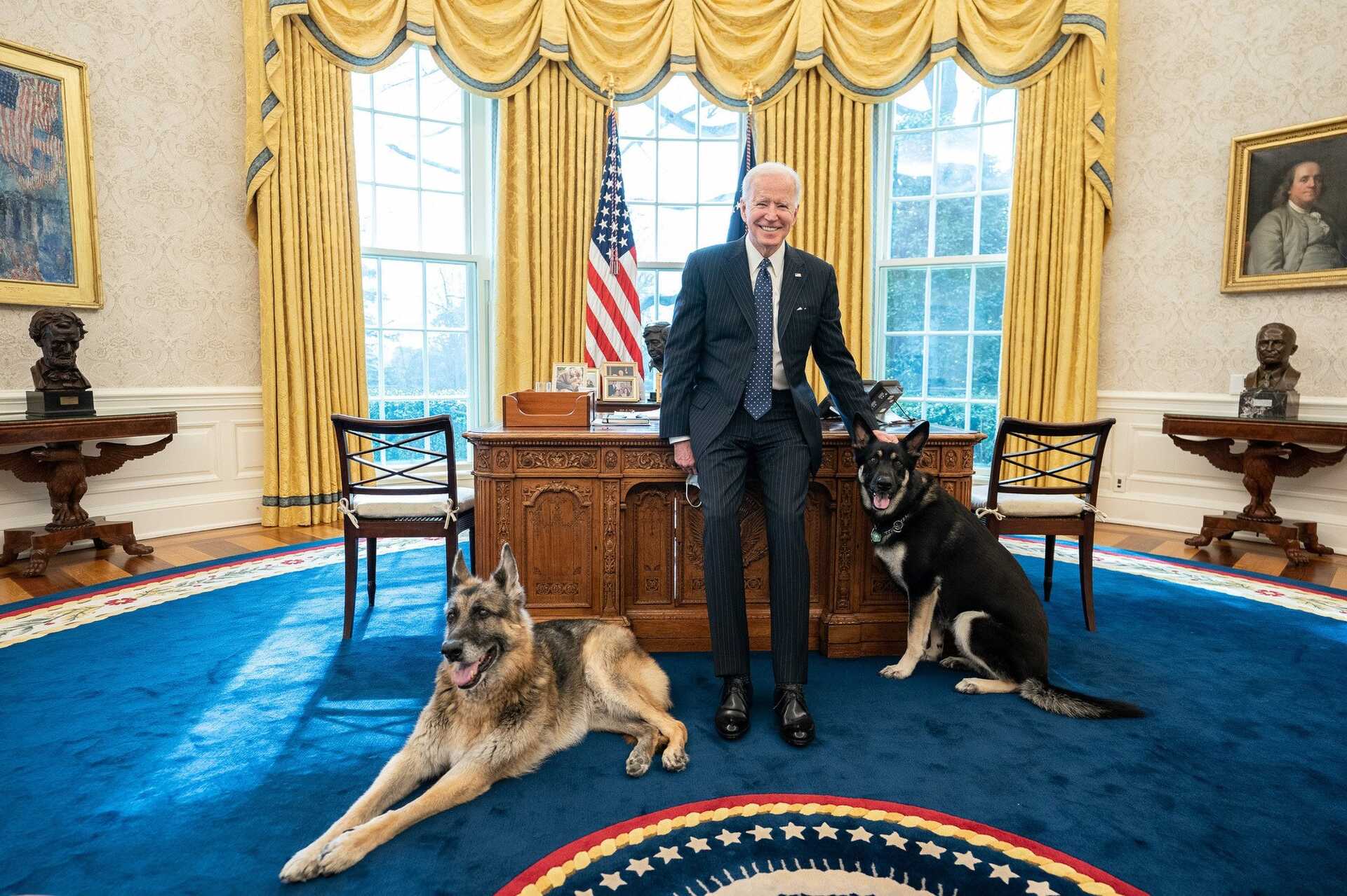 Joe Biden és kutyái a Fehér Házban