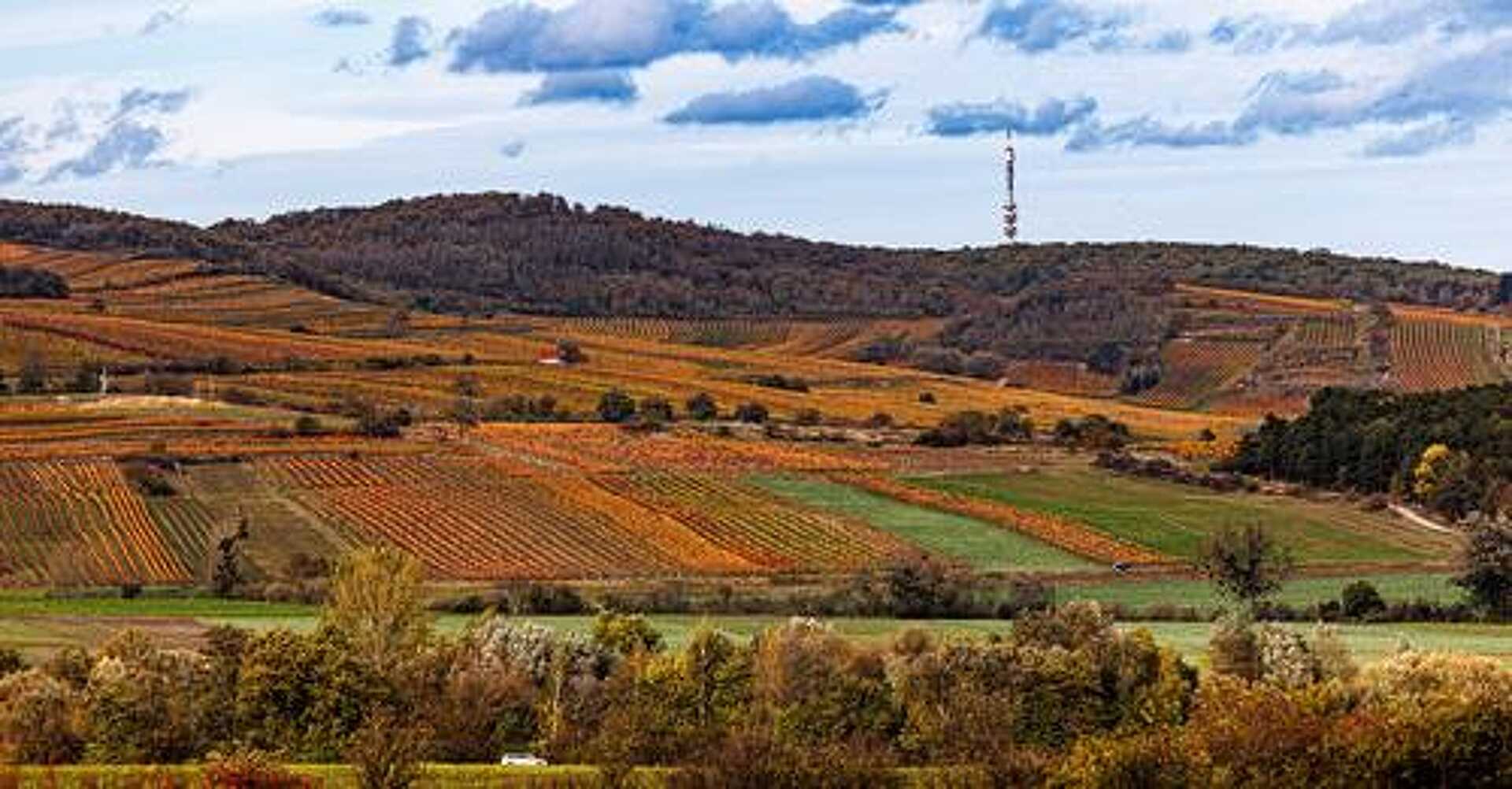 Őrvidék képekben kiállítás