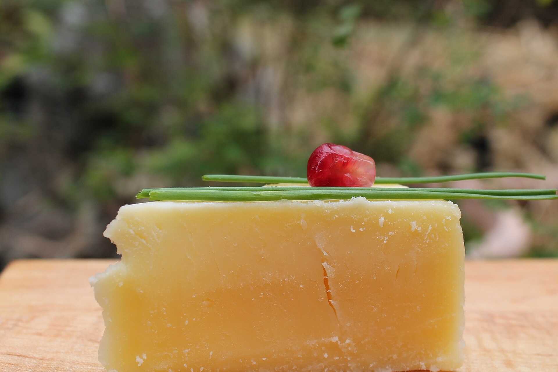 Cheddar sajt