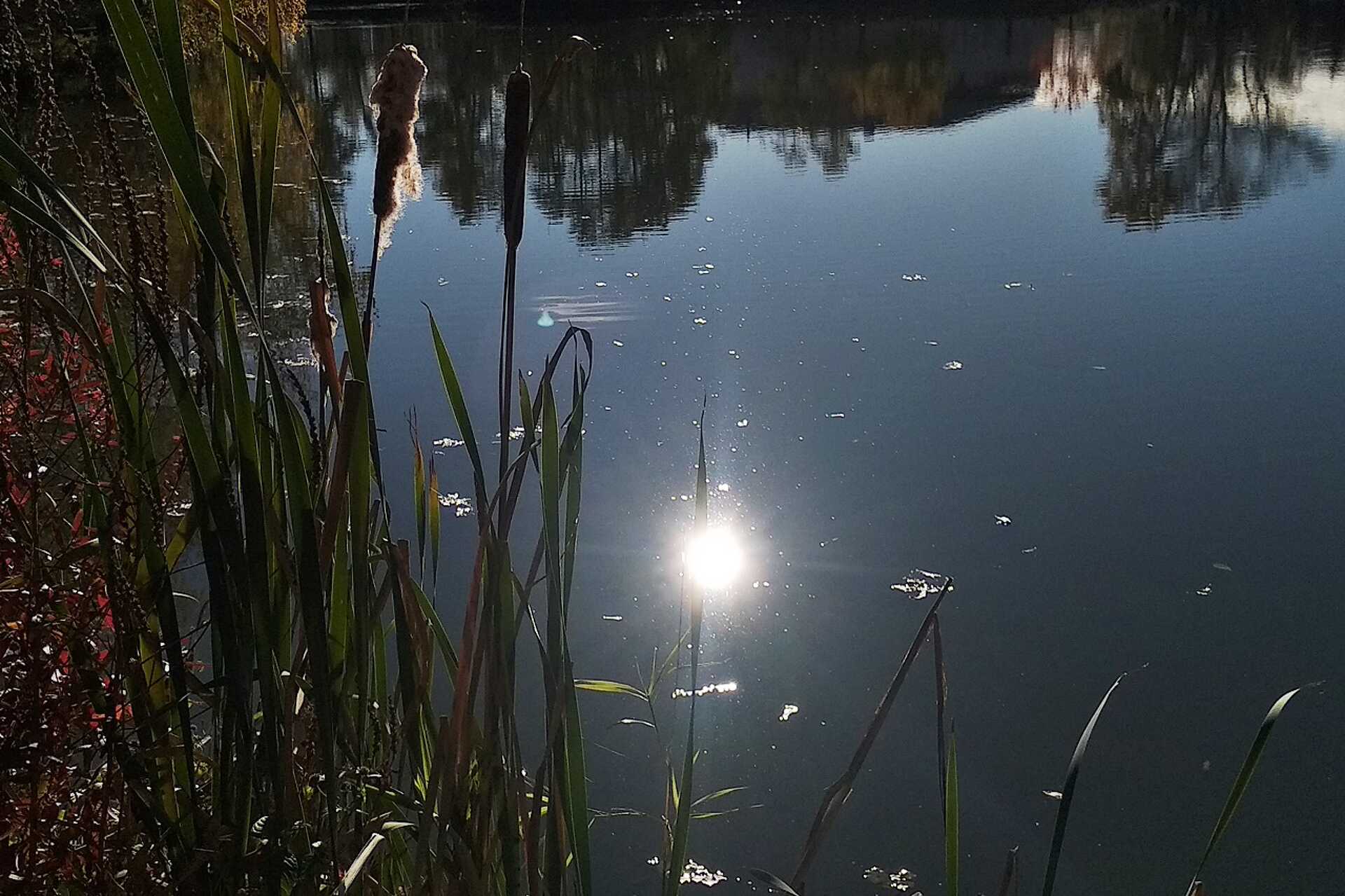 Az ősz 17 utolsó pillanata