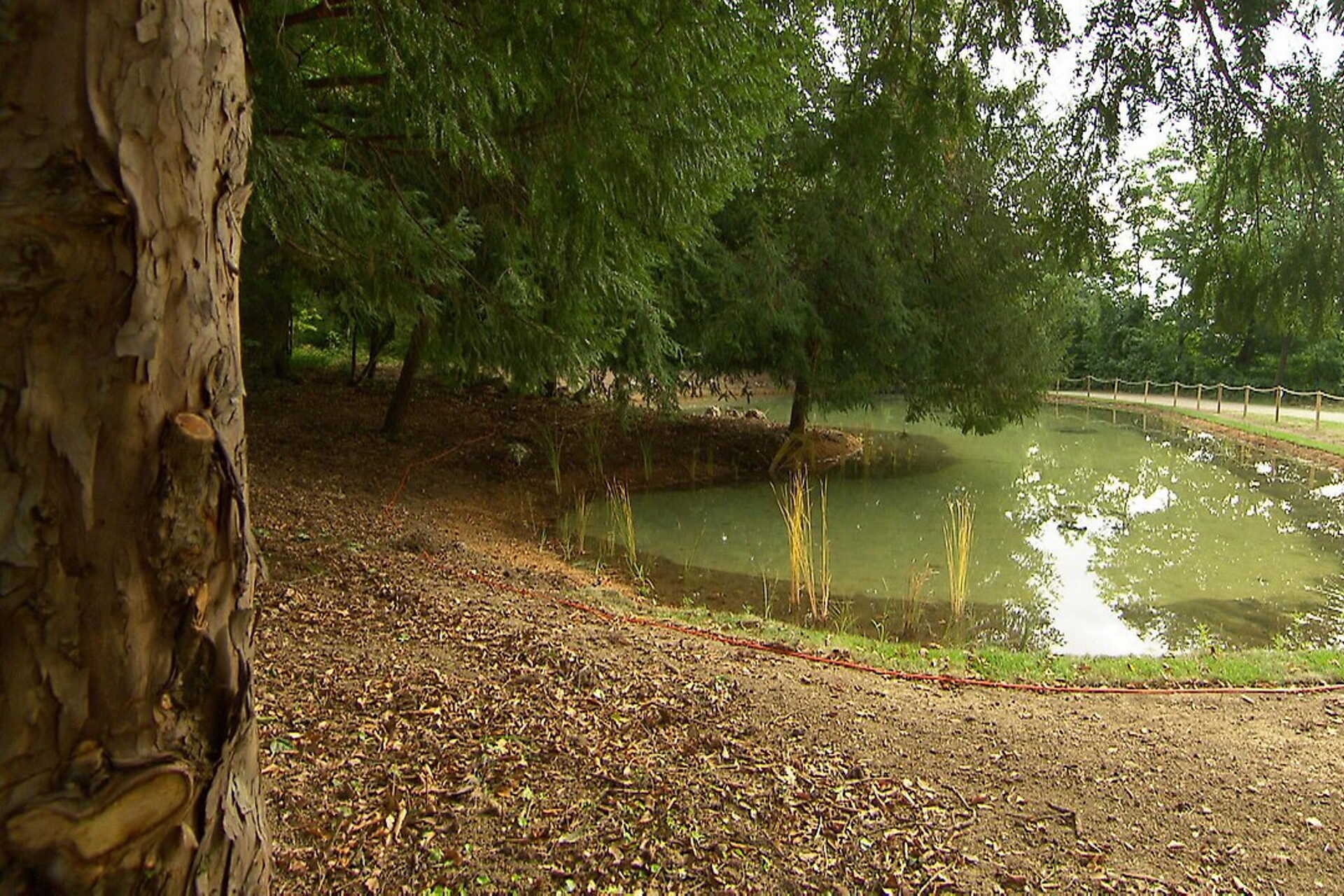 kismarton, szív tó, eszterházy kastély park