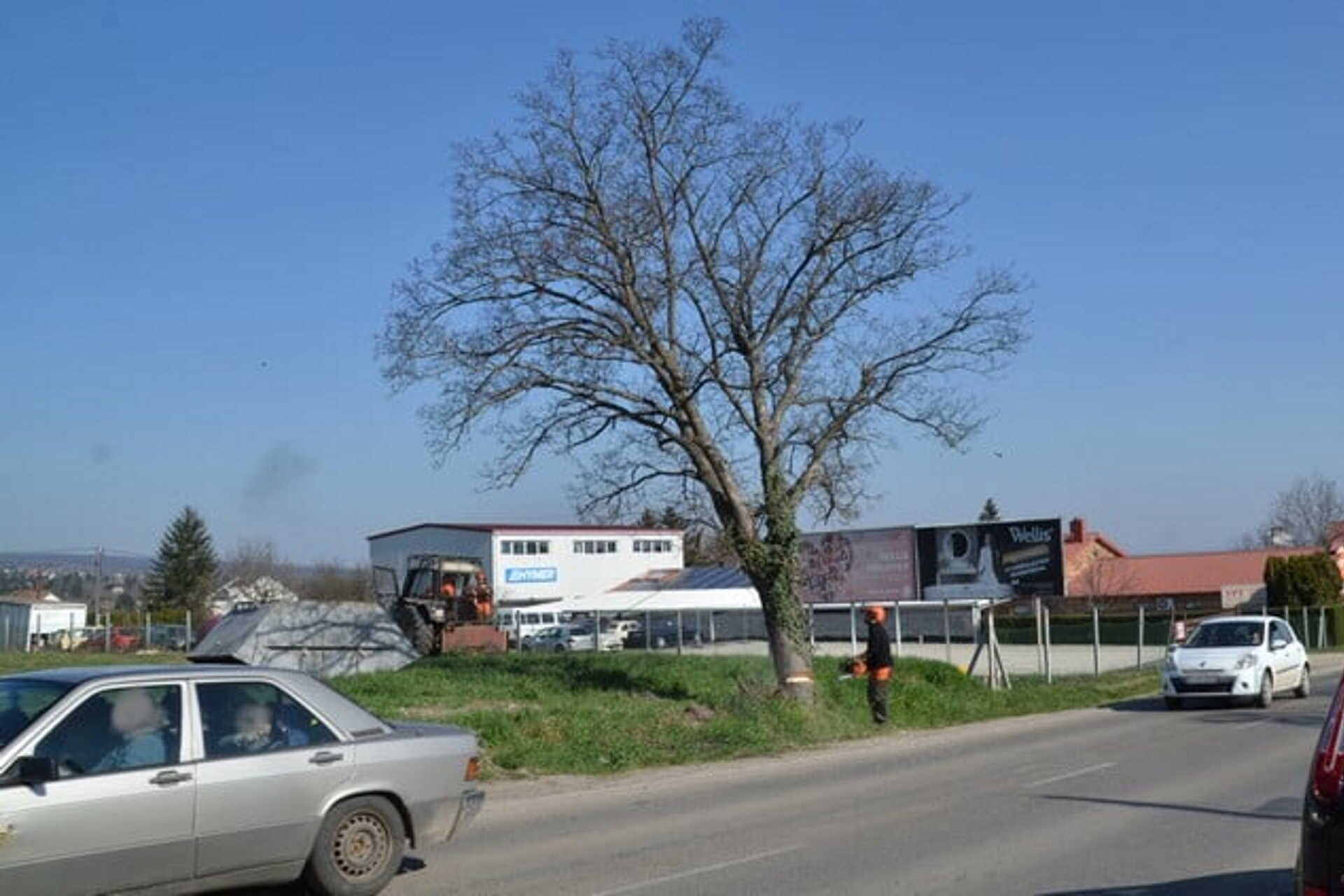 Nem volt túlságosan szem előtt és voltak nála szebbek is, de akkor is volt és élt...