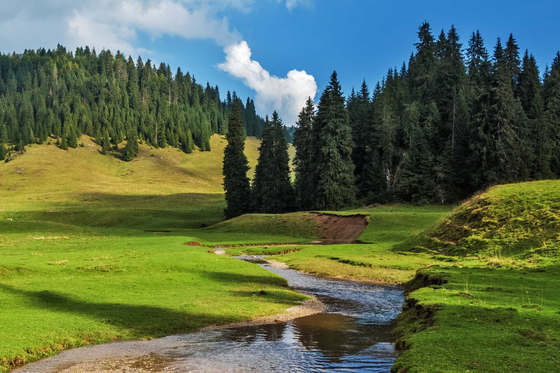 erdély, hegyek, patak