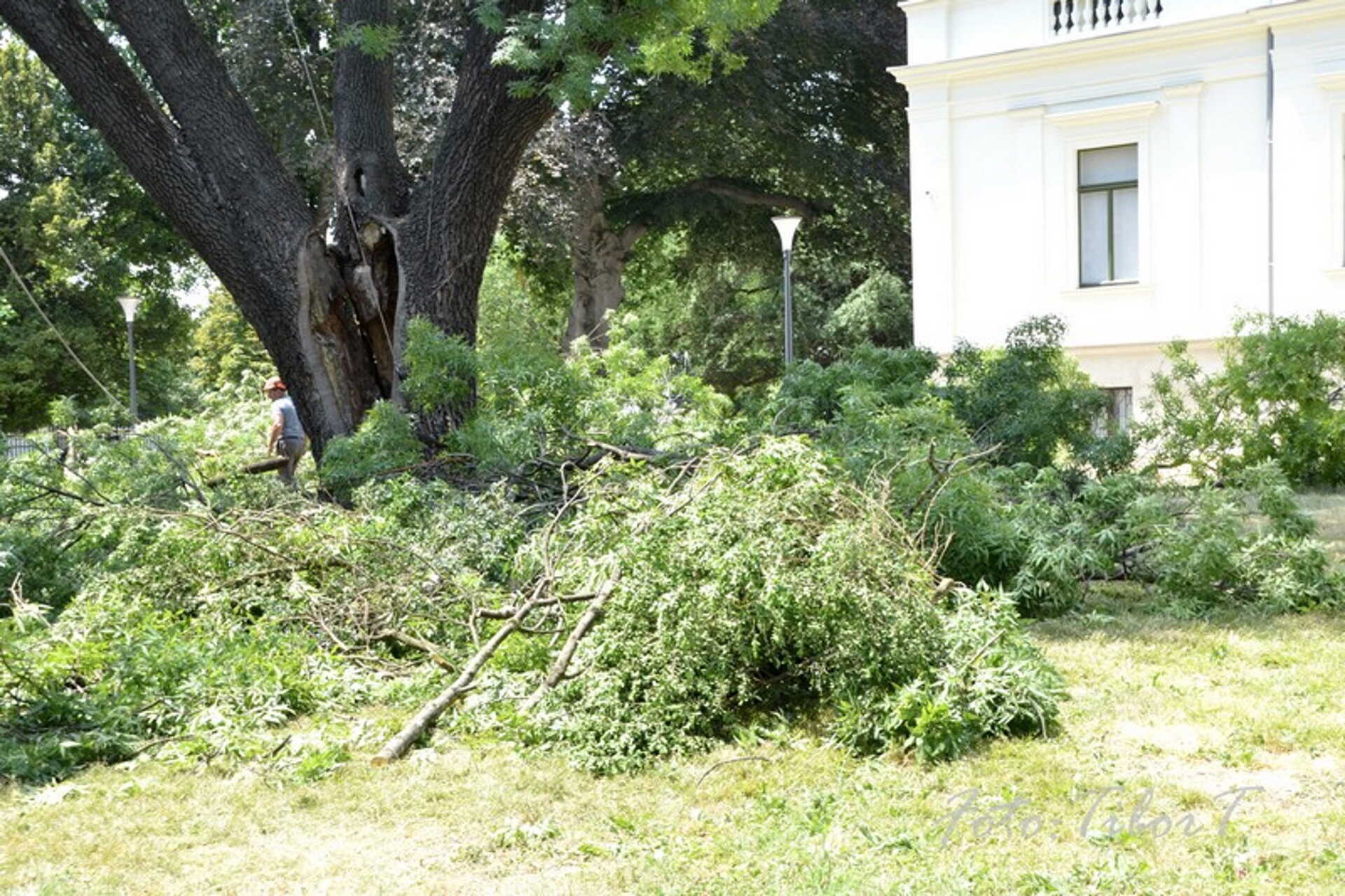 kivágták a kőrist