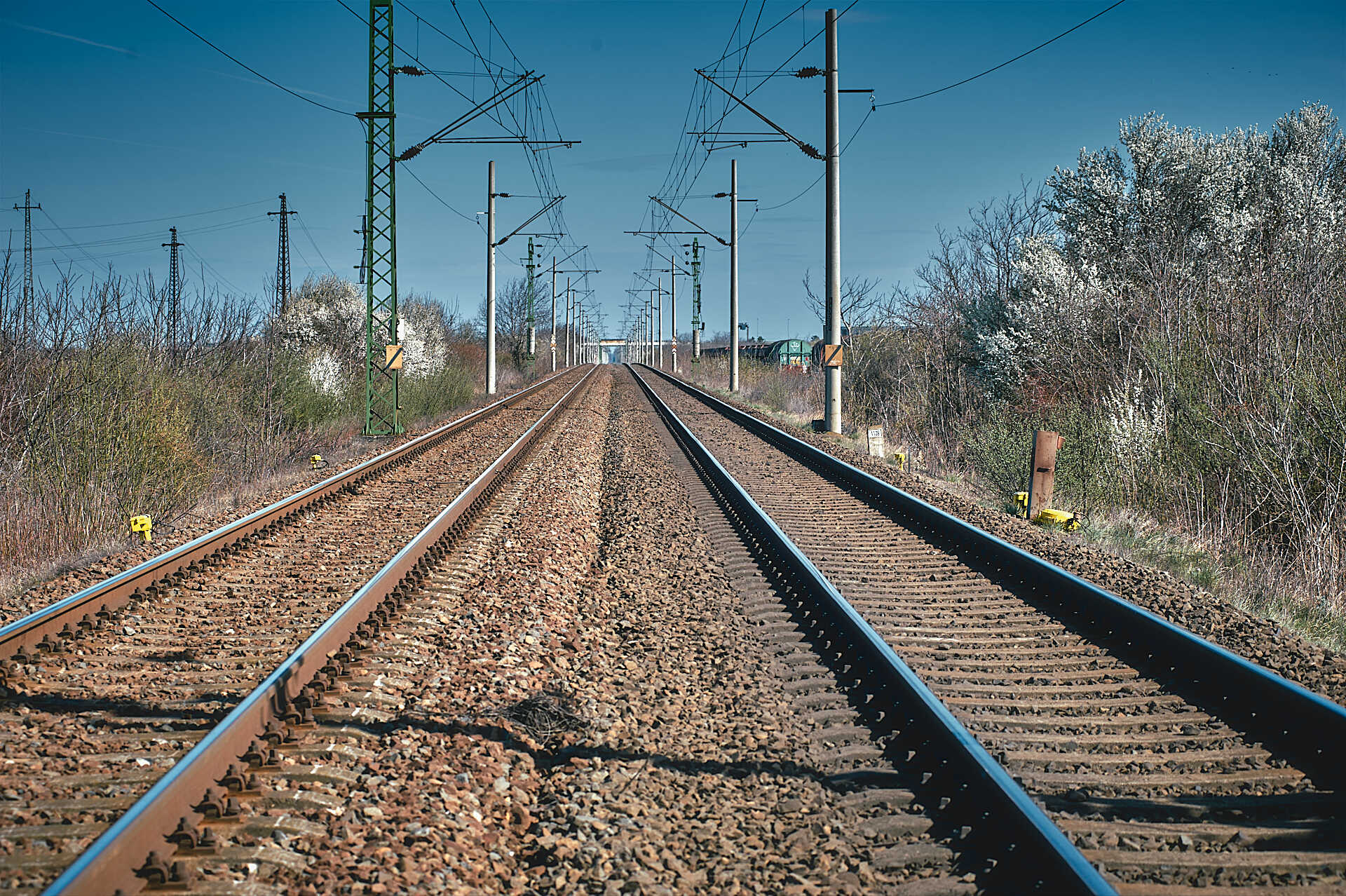 Vasút