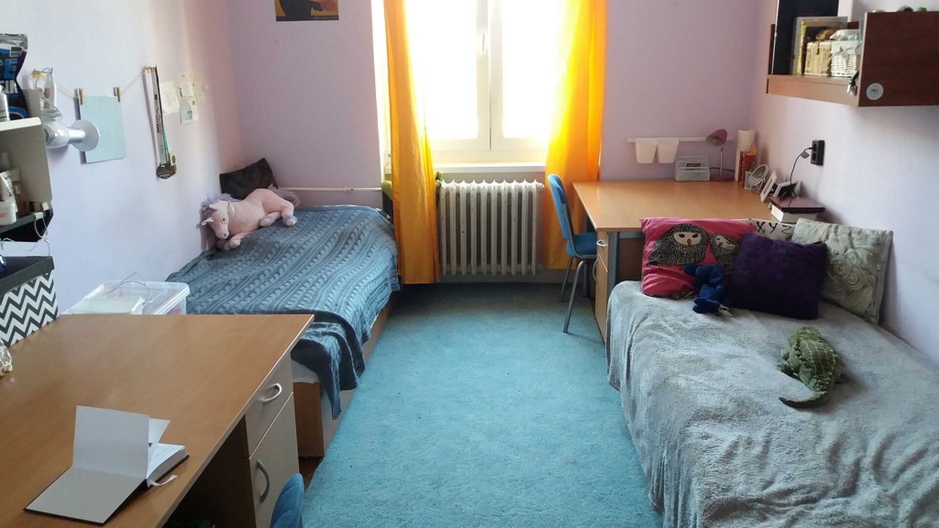kollégium