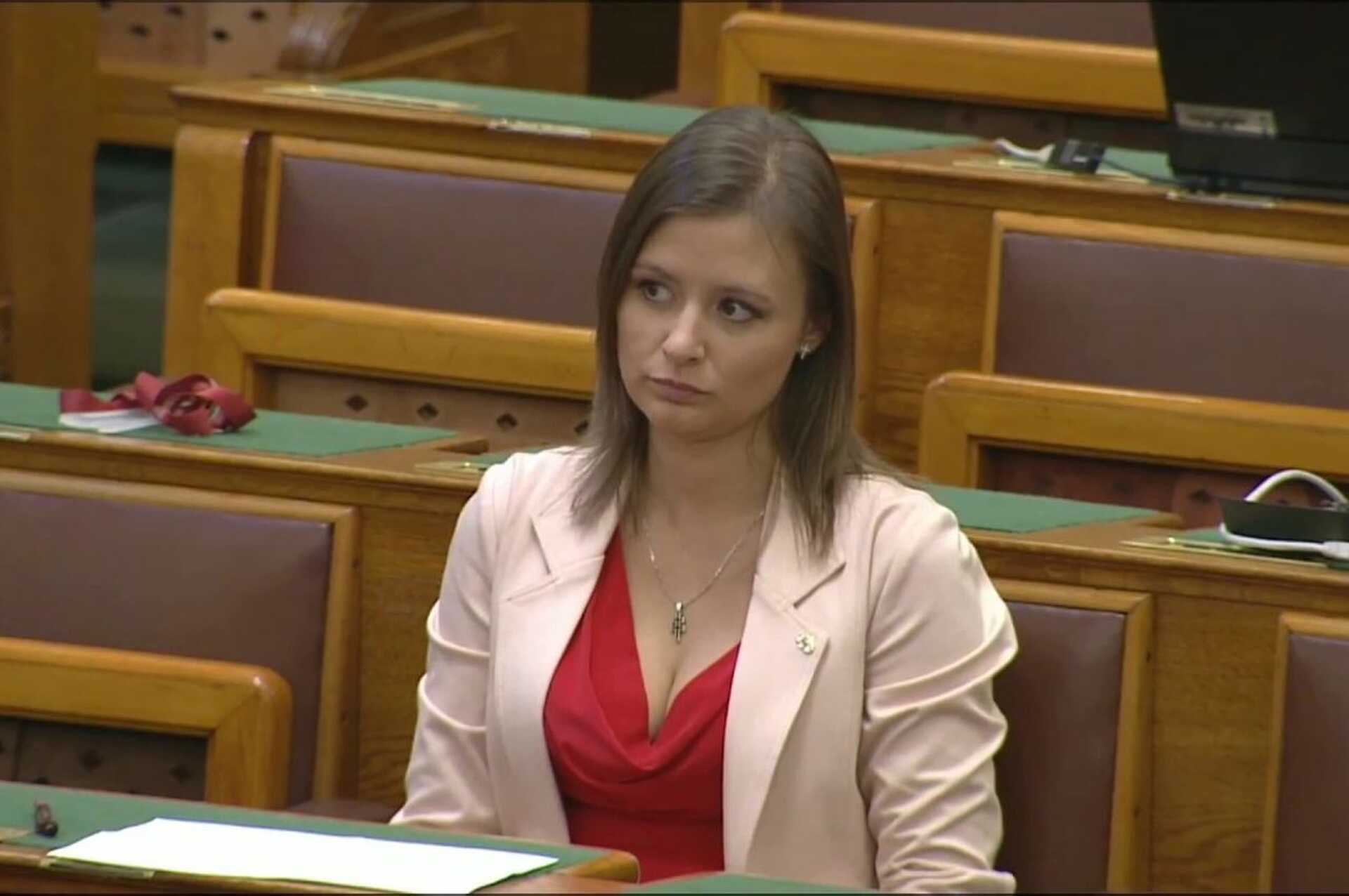 Közösség elleni uszítás miatt feljelentést tesz a Mi Hazánk a kormány ...