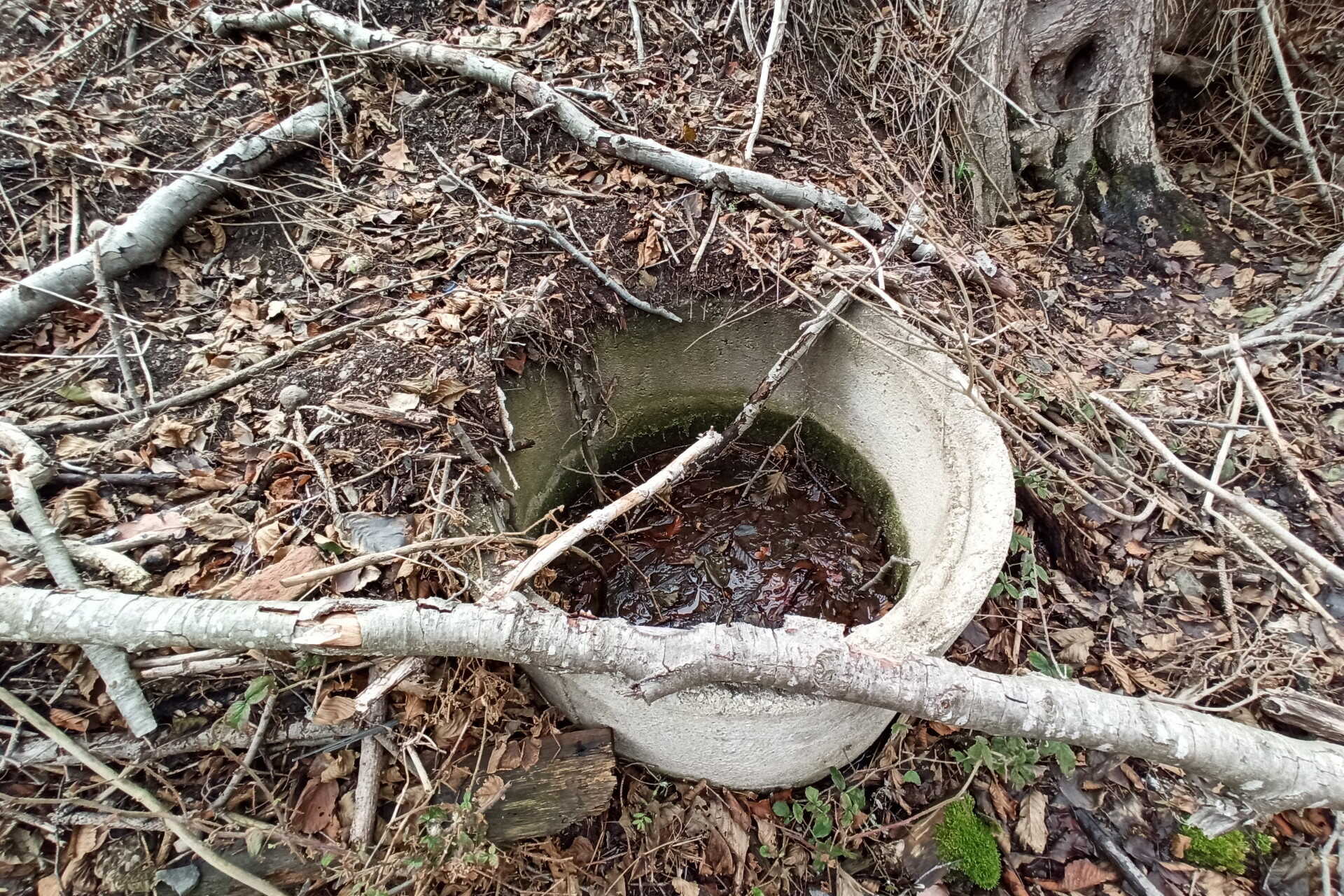 Így tűnnek el forrásaink