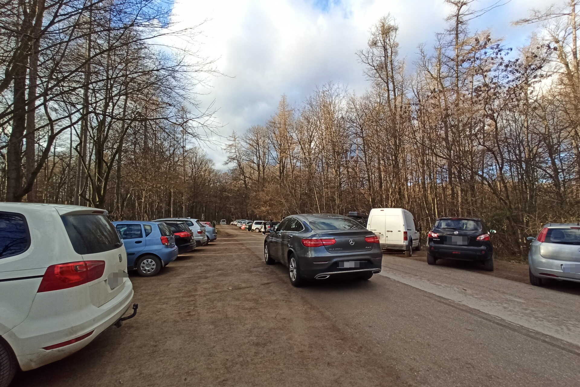 Tömött parkoló a soproni parkerdőben