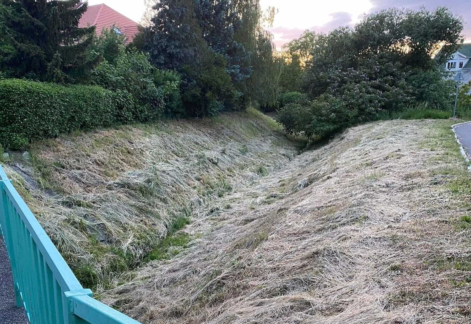 Nem szép látvány, de ezen kívül is bajok vannak ezzel a kaszálással.