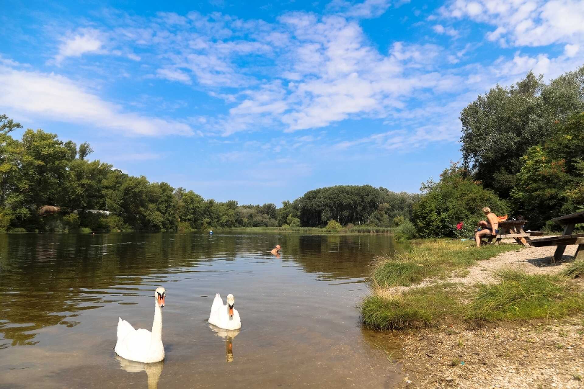 Természetes strand Bécsben